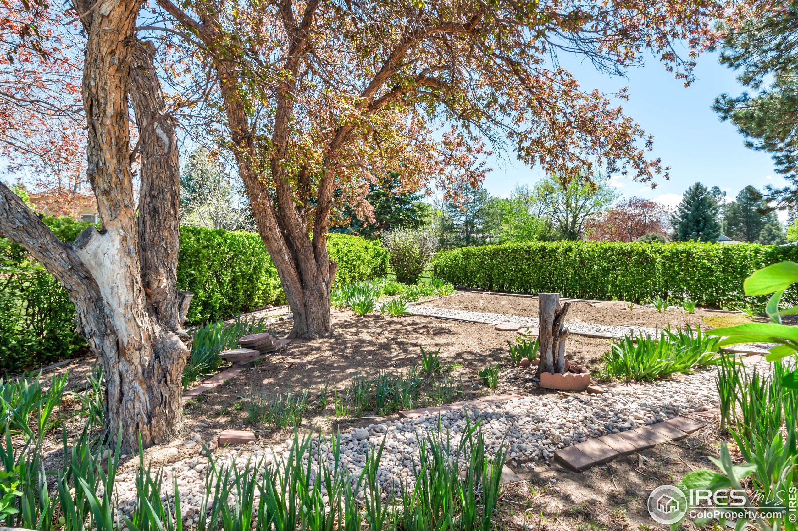 1817 Cannes Ct, Fort Collins CO  80524-1946 exterior