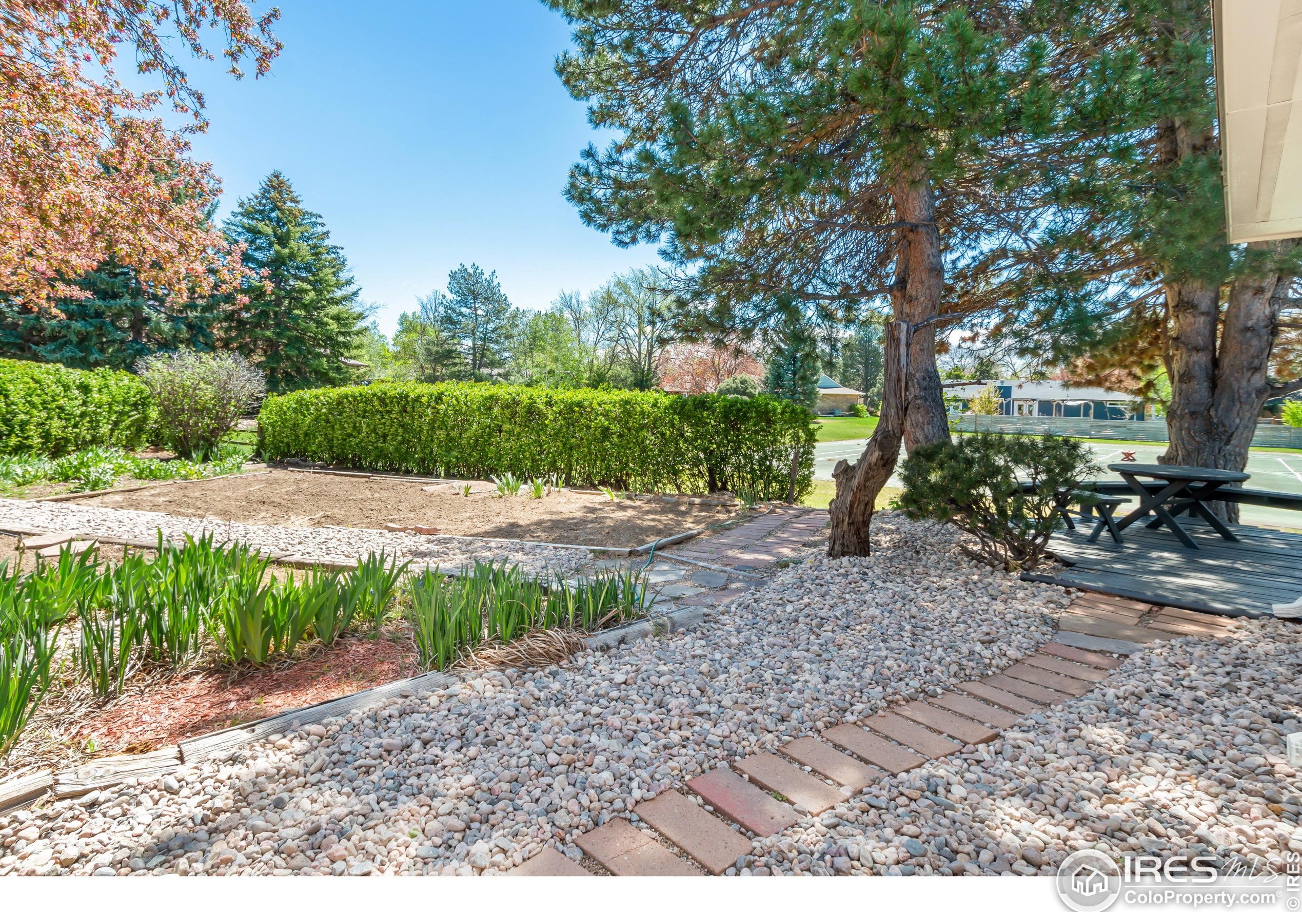 1817 Cannes Ct, Fort Collins CO  80524-1946 exterior