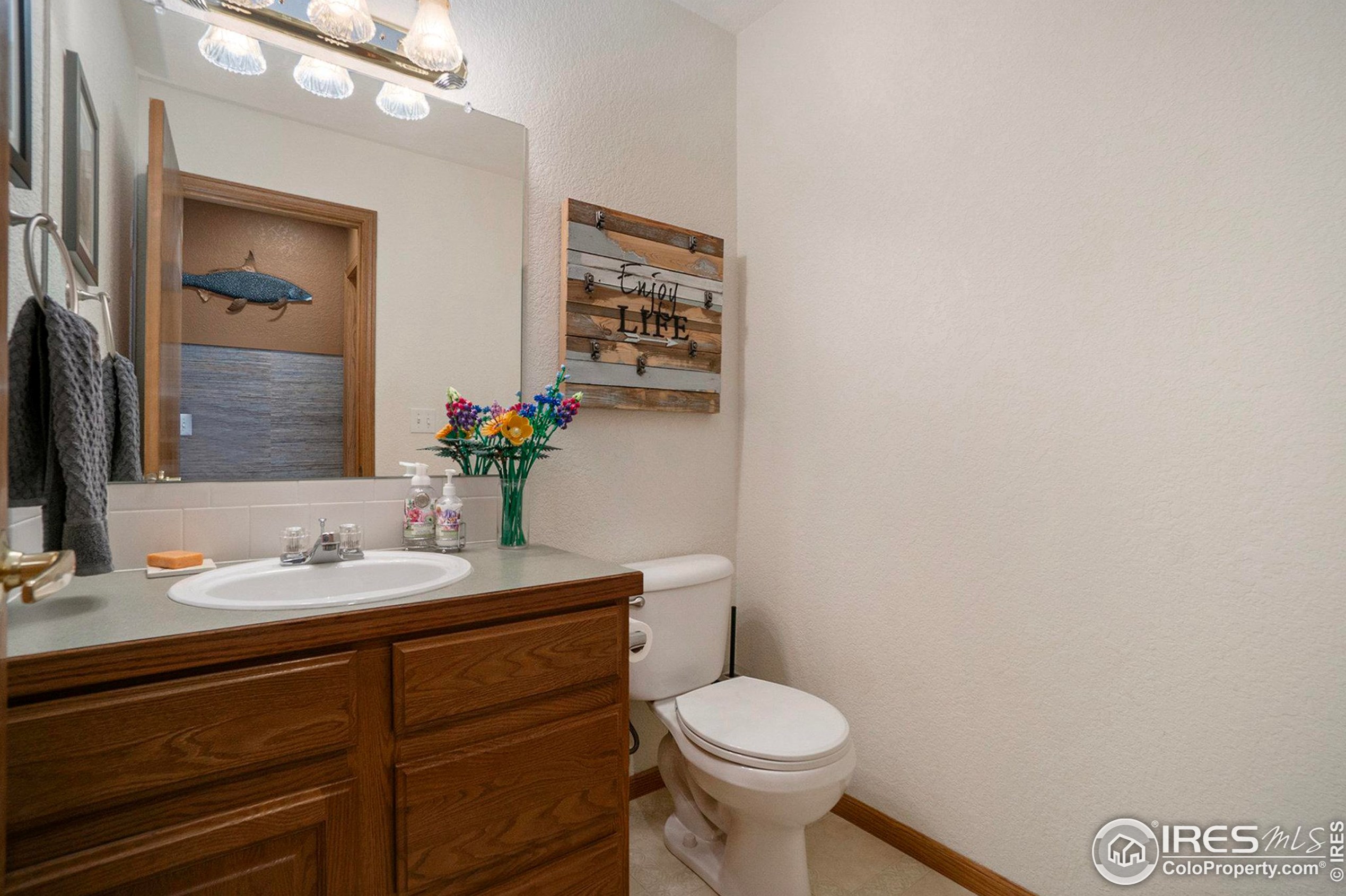 1163 Wabash St, Fort Collins CO  80526-3243 exterior