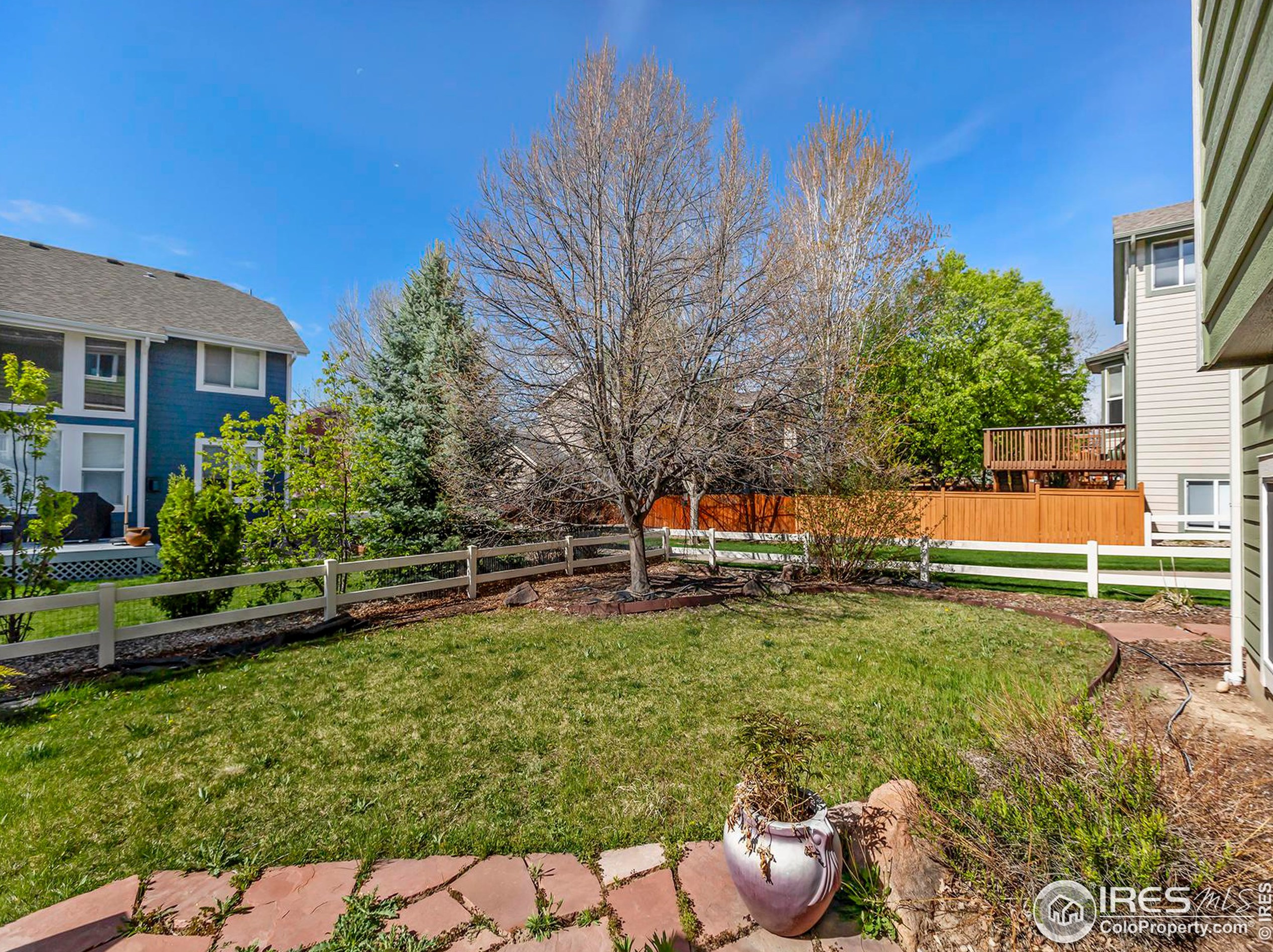 2203 Harvest St, Fort Collins CO  80528-7115 exterior