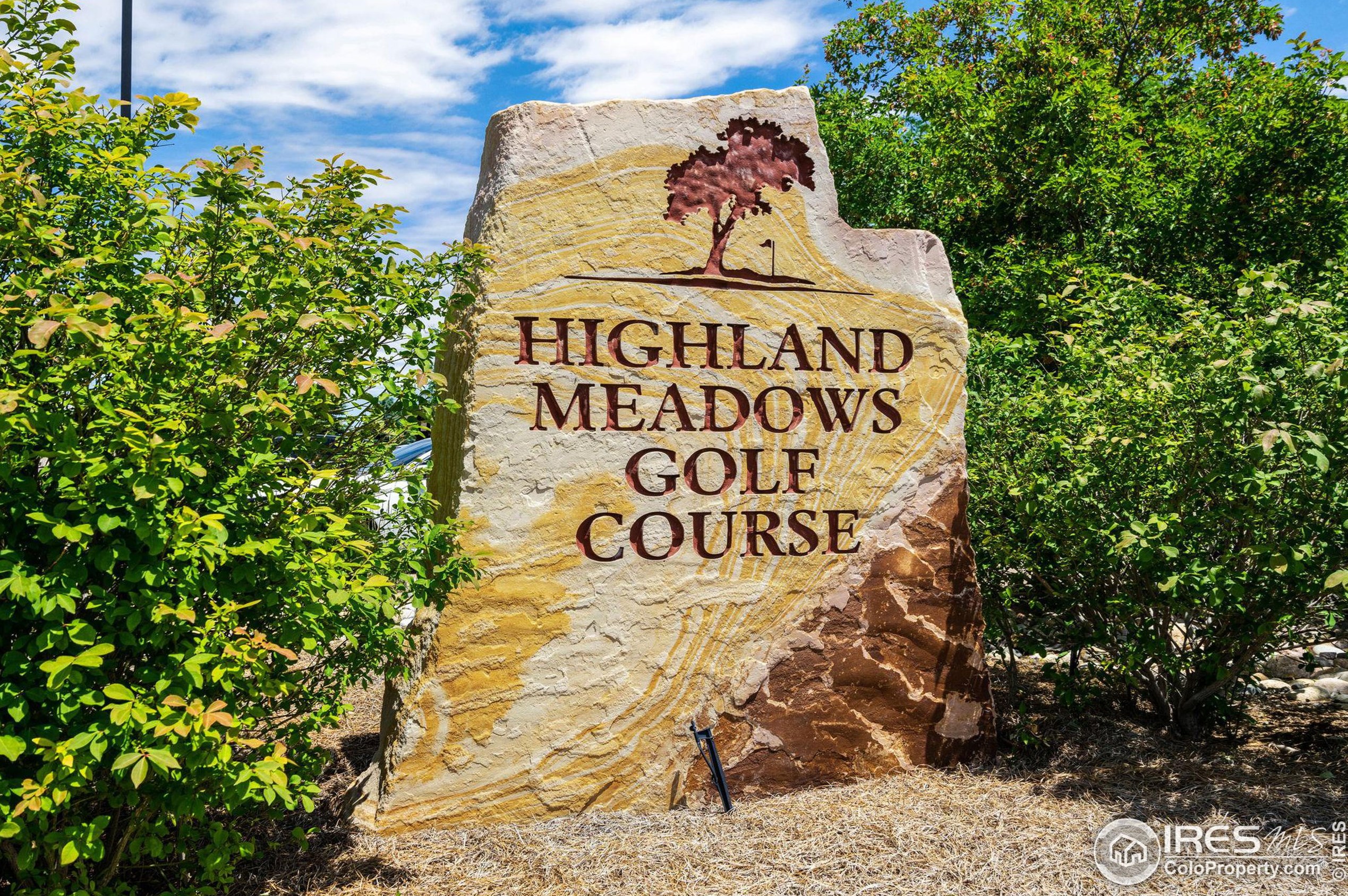 6770 Auburn Hills Dr, Fort Collins CO  80550-7033 exterior