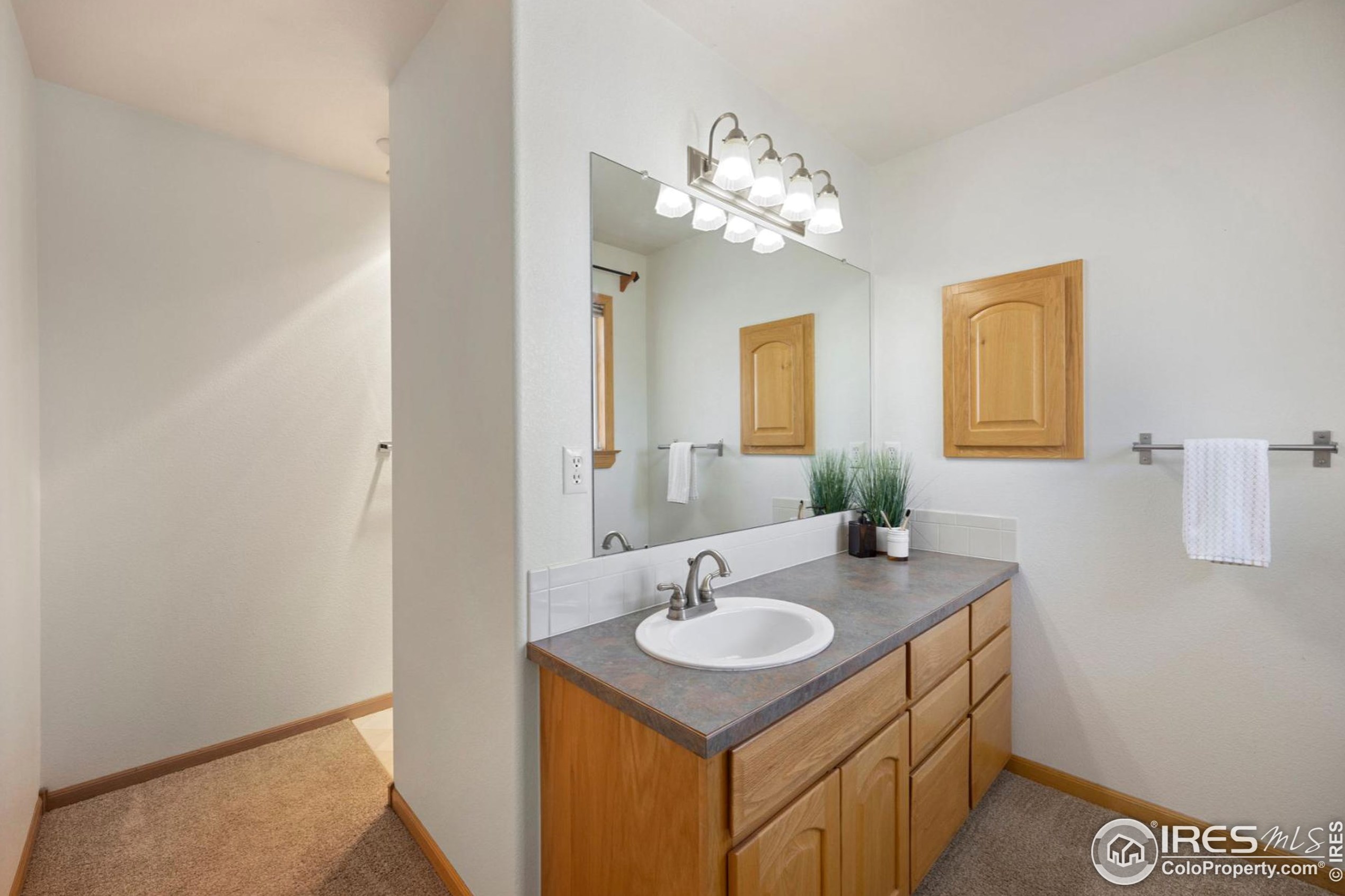 663 Moose Ct, Loveland CO 80537-5290 exterior