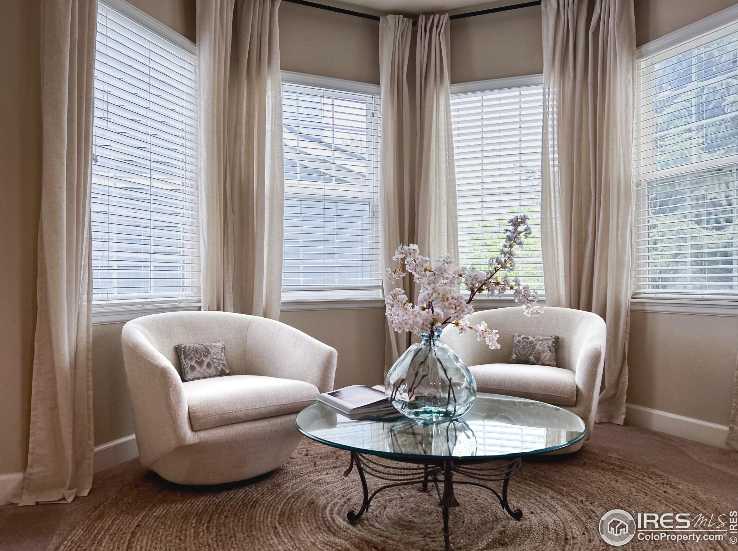 9516 Shenstone Dr, Parker CO 80134-6041 exterior