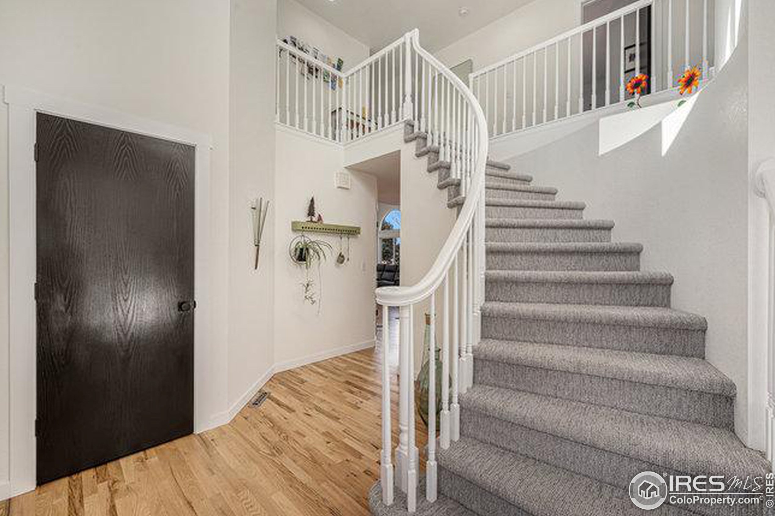 2531 Glen Isle Dr, Loveland CO  80538-5387 exterior