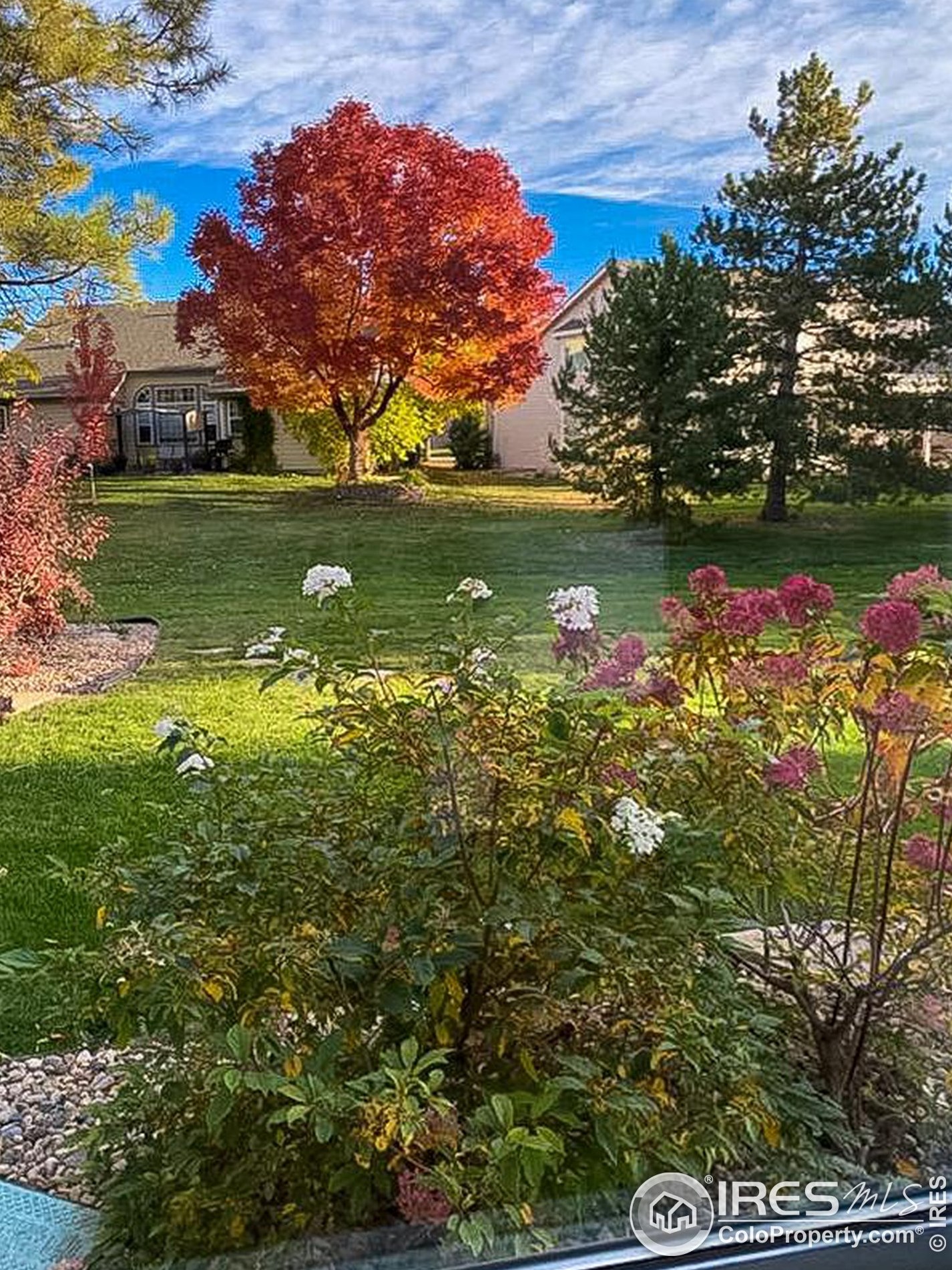 2531 Glen Isle Dr, Loveland CO  80538-5387 exterior