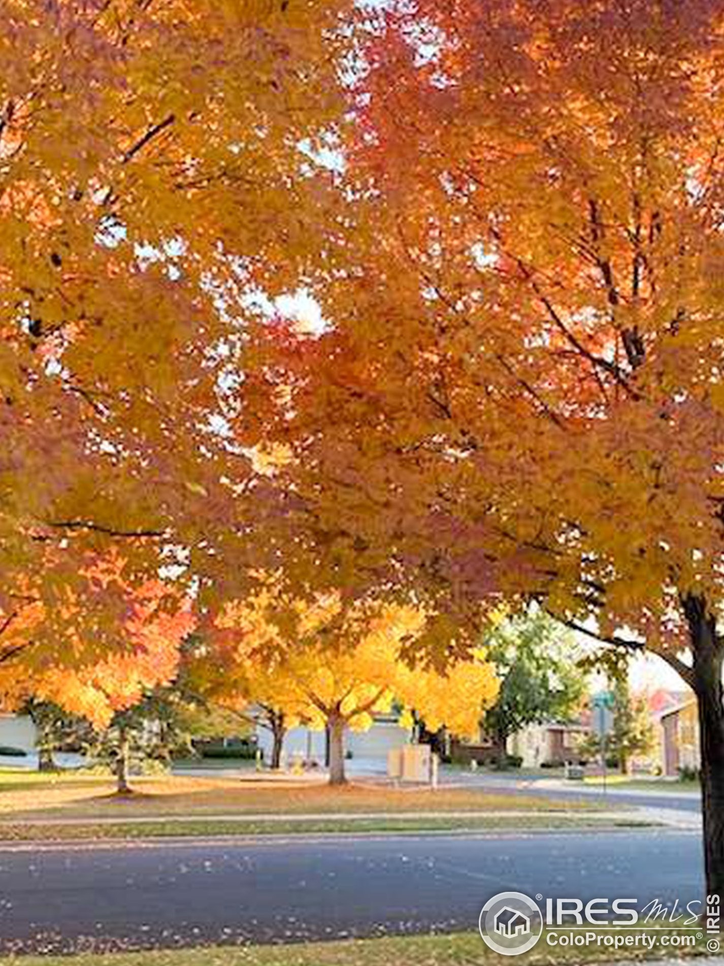 2531 Glen Isle Dr, Loveland CO  80538-5387 exterior