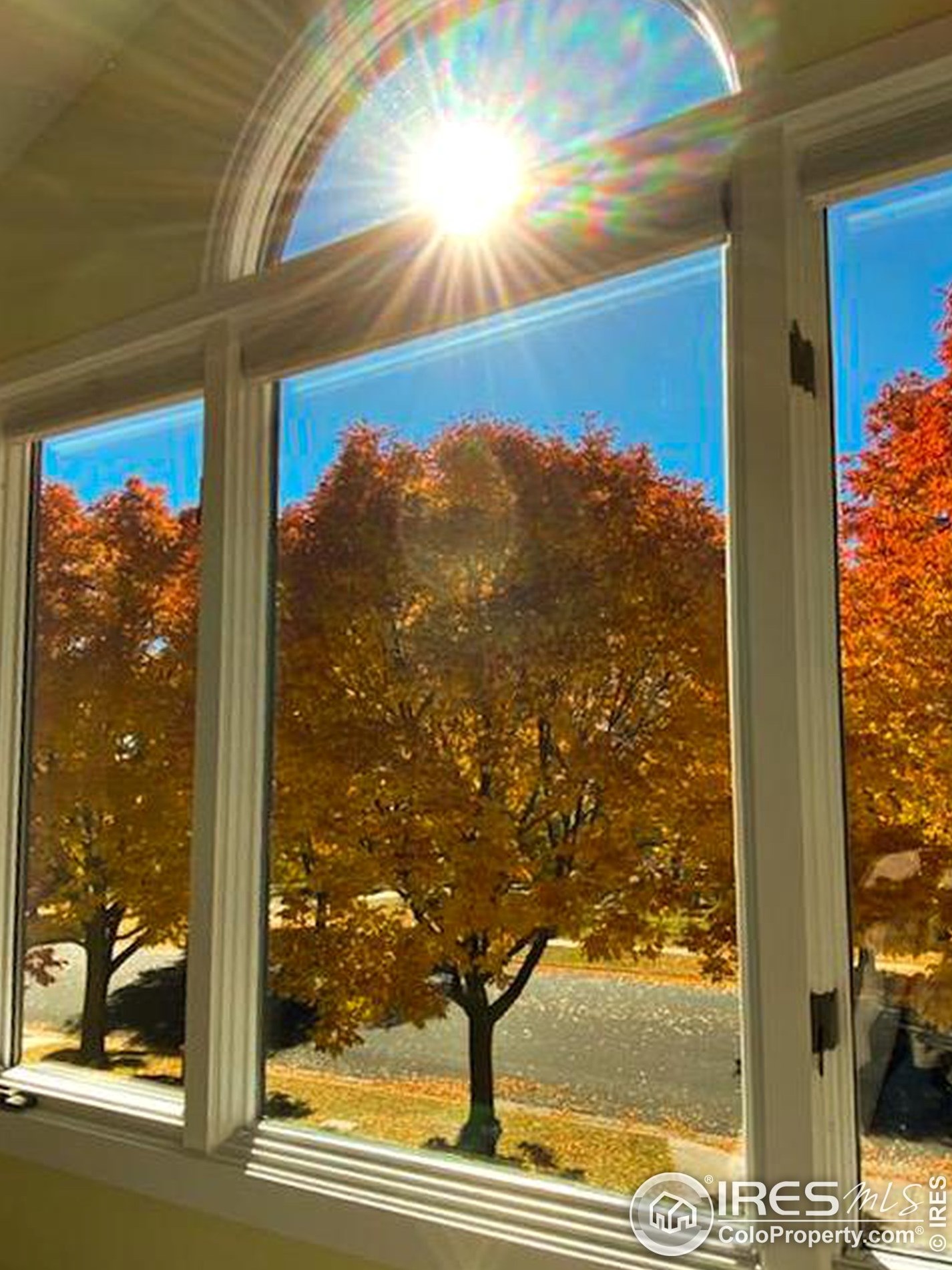 2531 Glen Isle Dr, Loveland CO  80538-5387 exterior