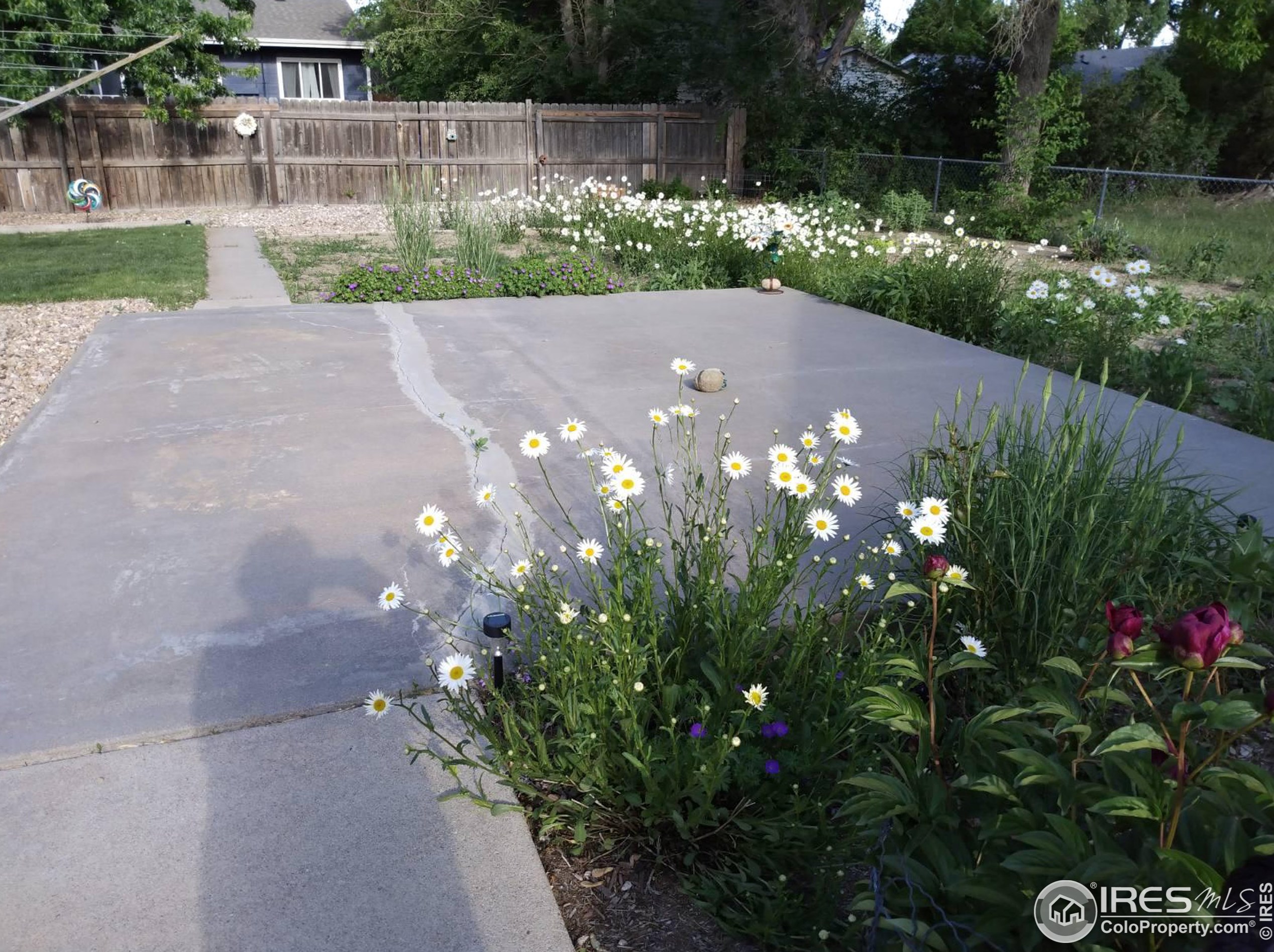 321 Cambridge St, Brush CO 80723-1603 exterior