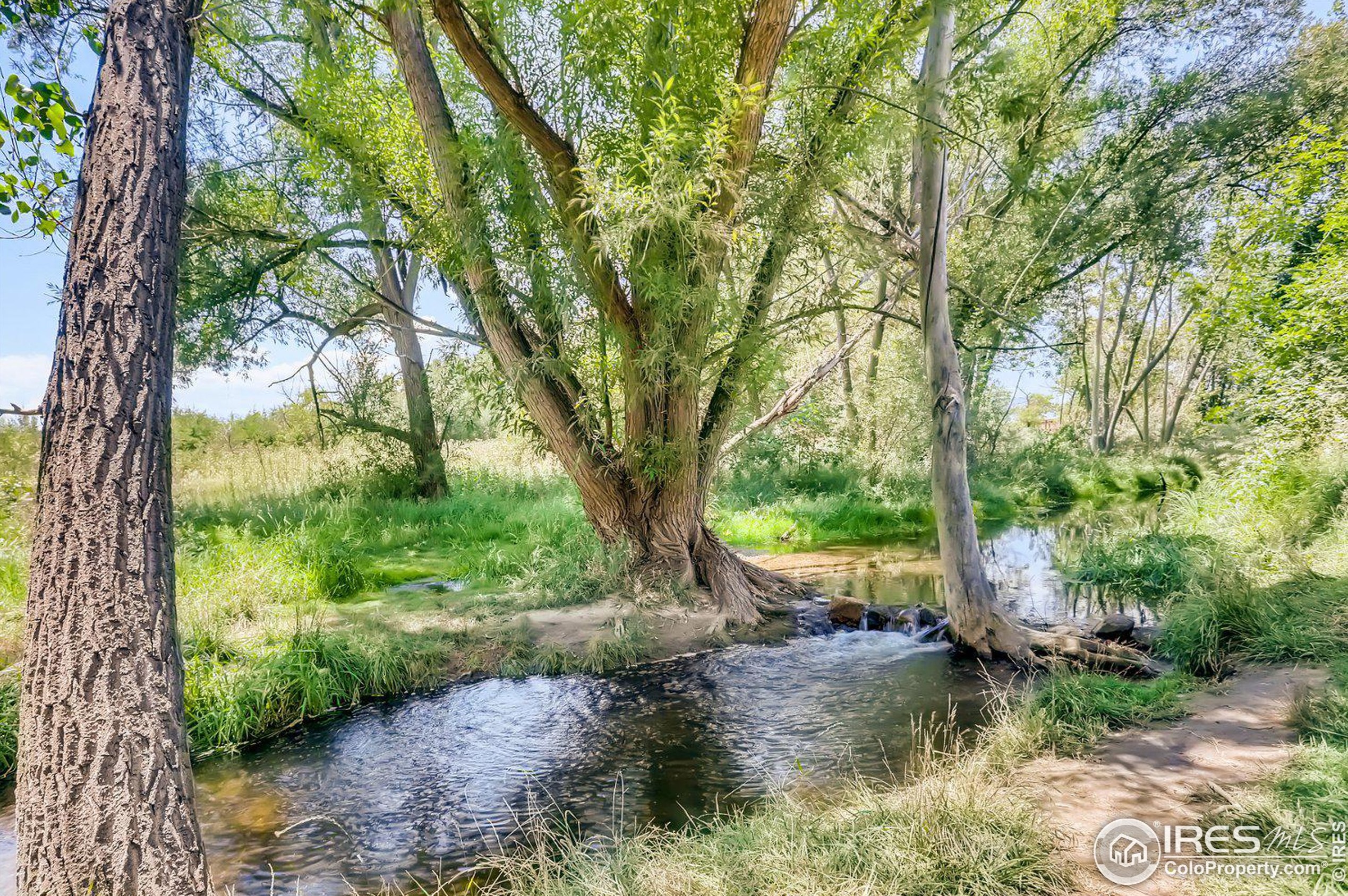 1113 Elysian Field Dr, Lafayette CO  80026-3526 exterior