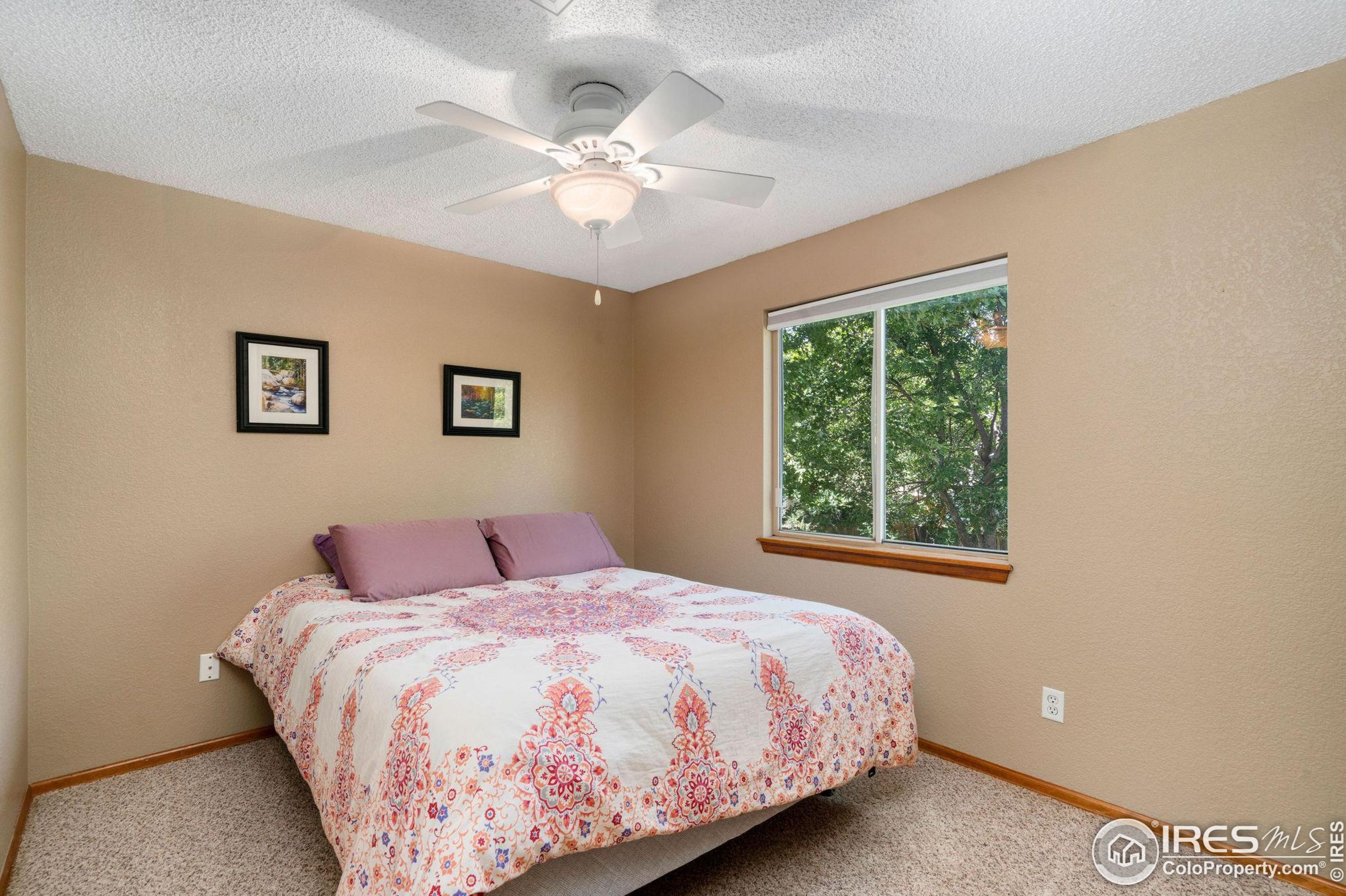 11725 Forest Ct, Denver CO  80233-1826 exterior