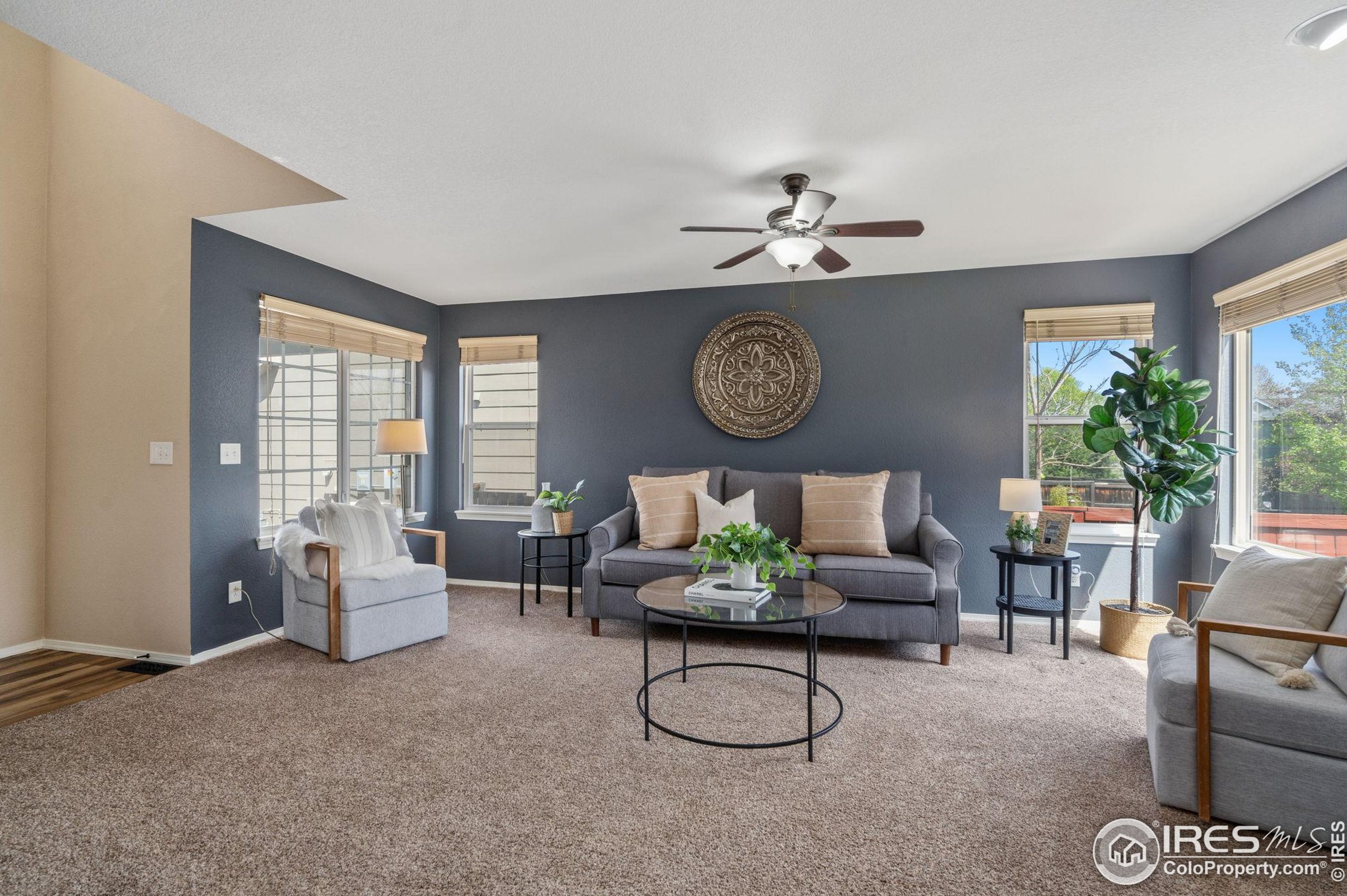 1233 Intrepid Dr, Fort Collins CO  80526-9656 exterior