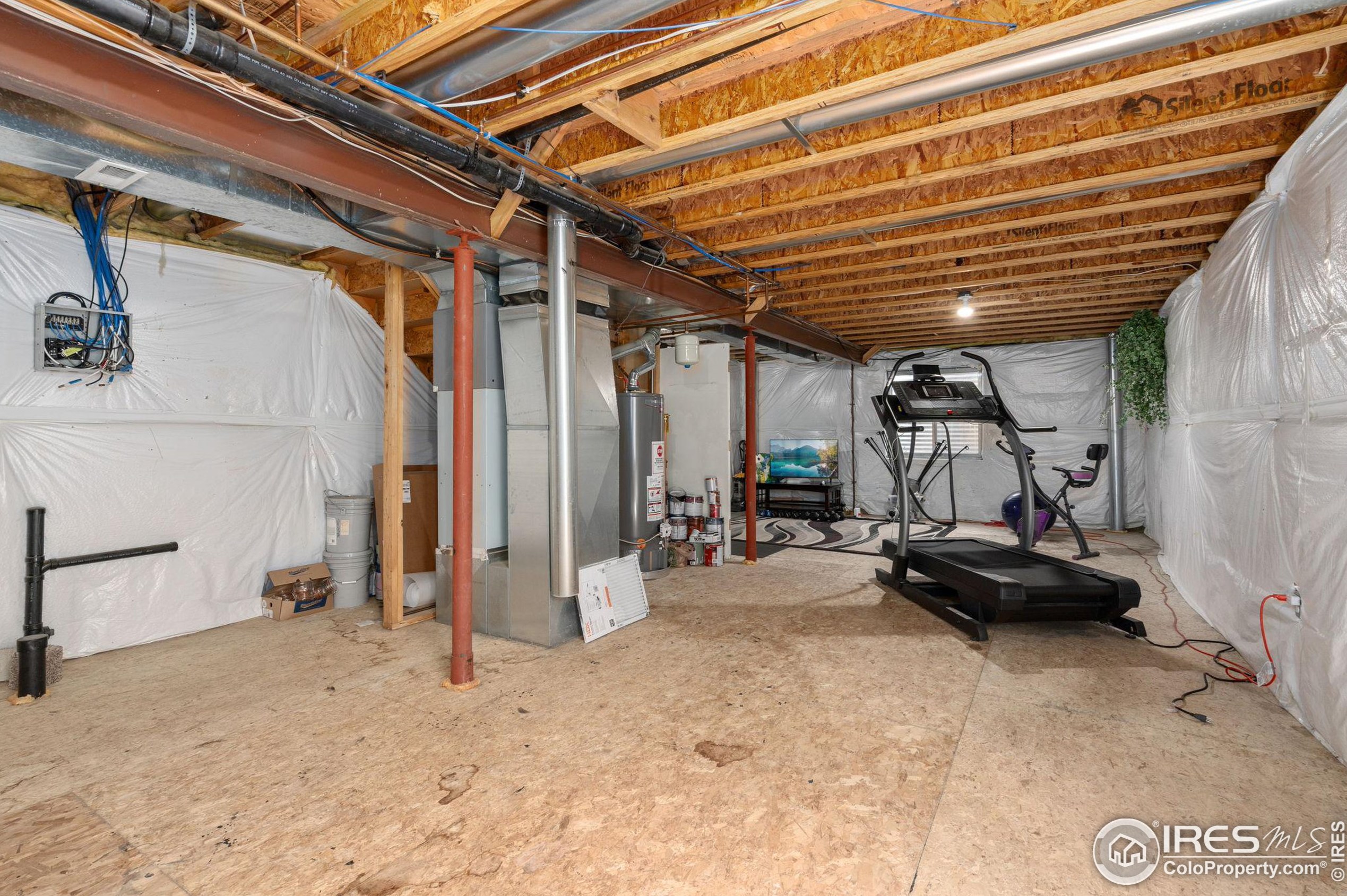 1233 Intrepid Dr, Fort Collins CO  80526-9656 exterior