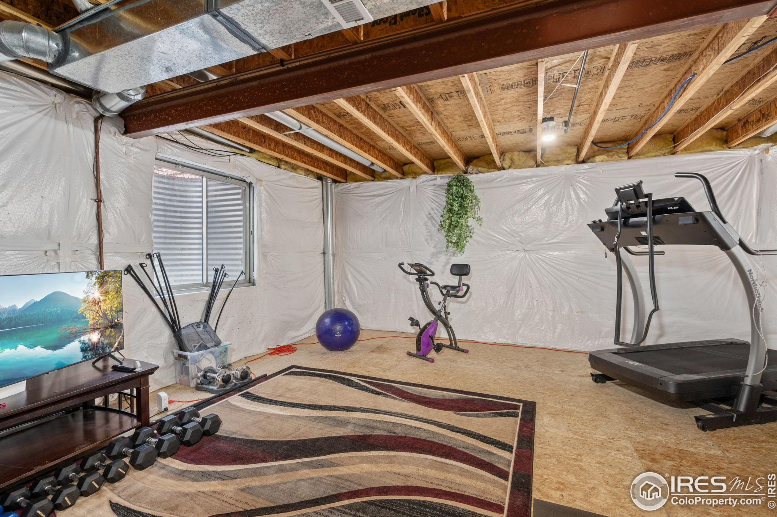 1233 Intrepid Dr, Fort Collins CO  80526-9656 exterior