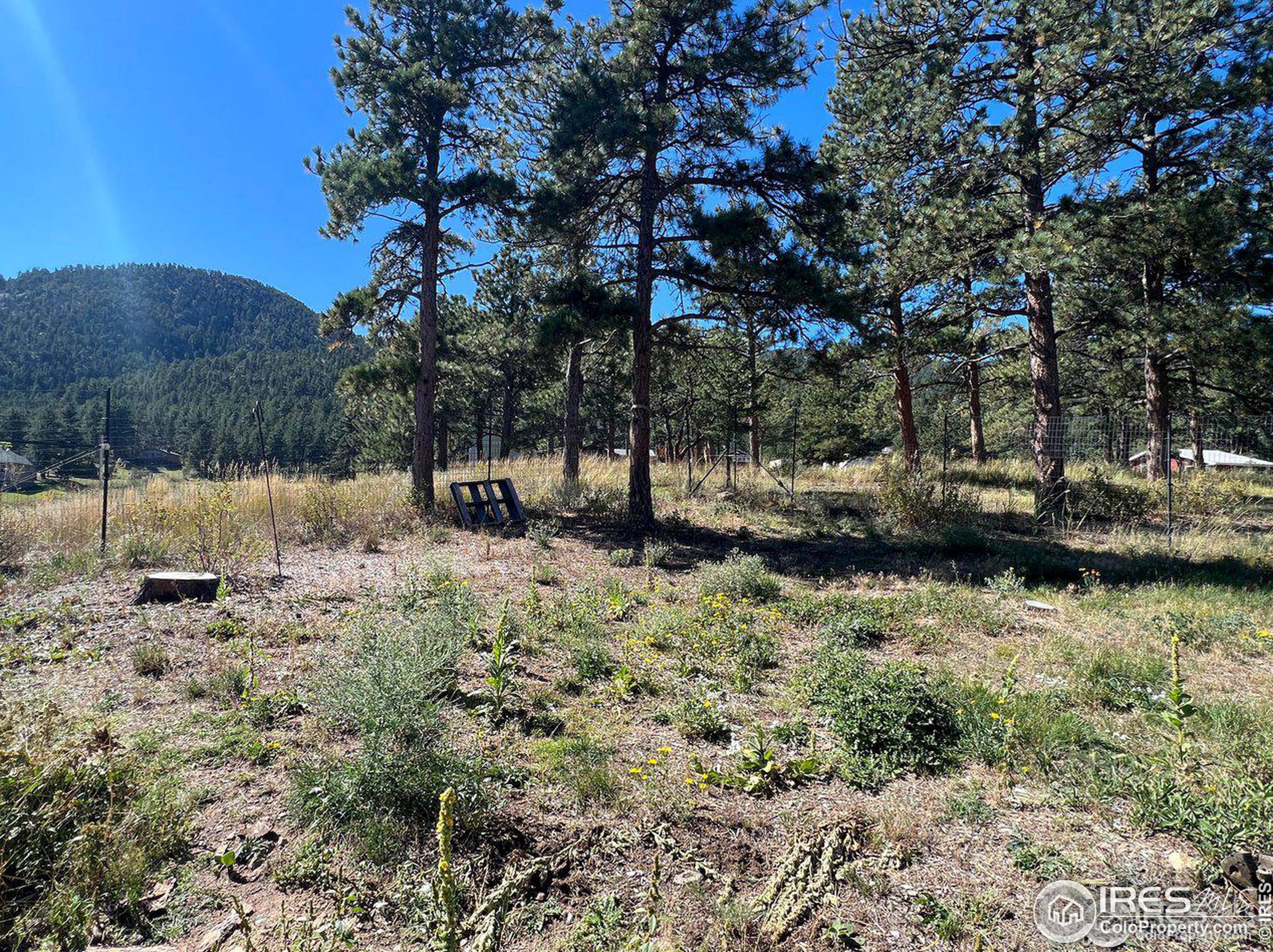 545 Pinewood Dr, Lyons CO  80540-8132 exterior