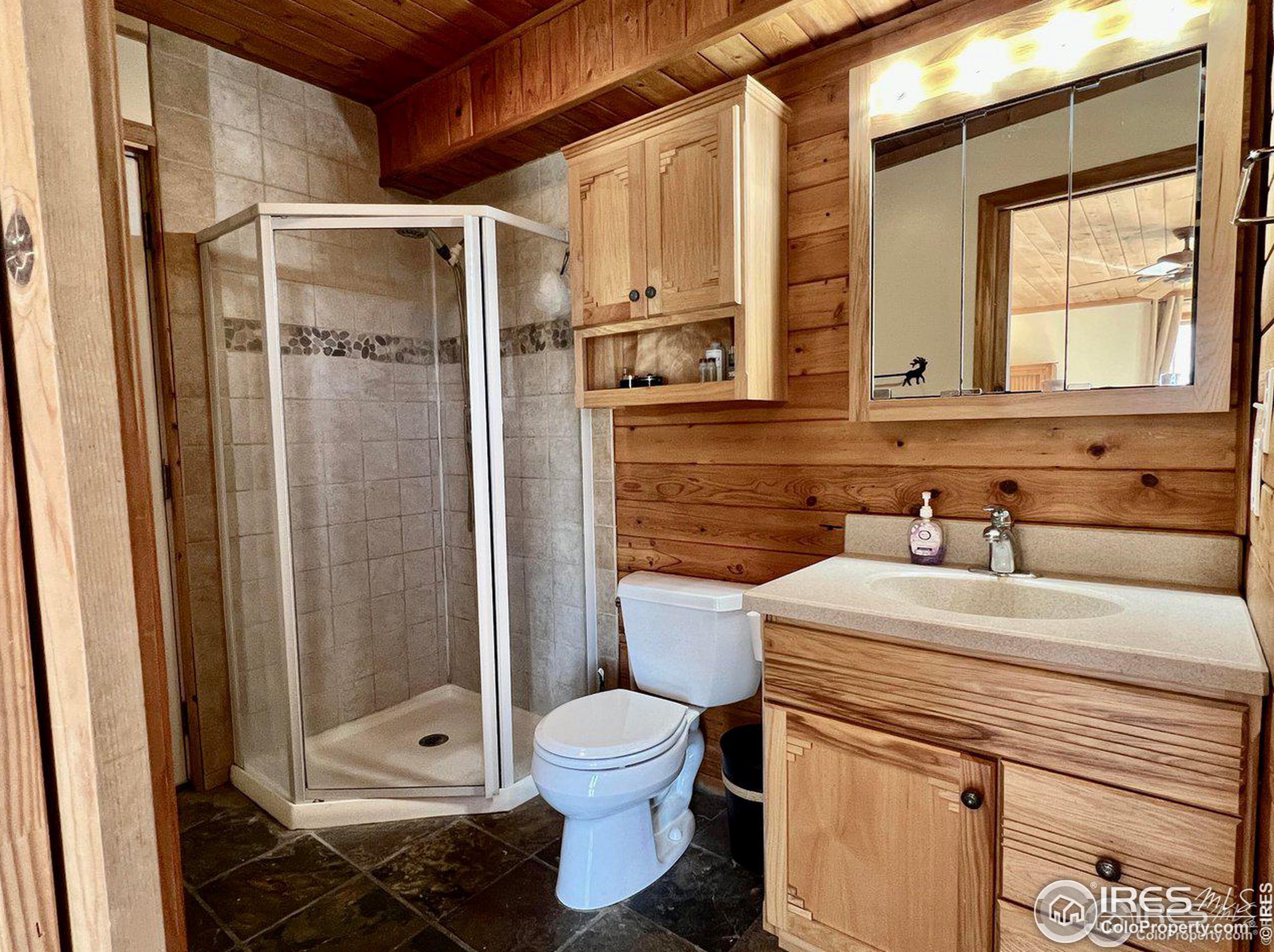 545 Pinewood Dr, Lyons CO  80540-8132 exterior