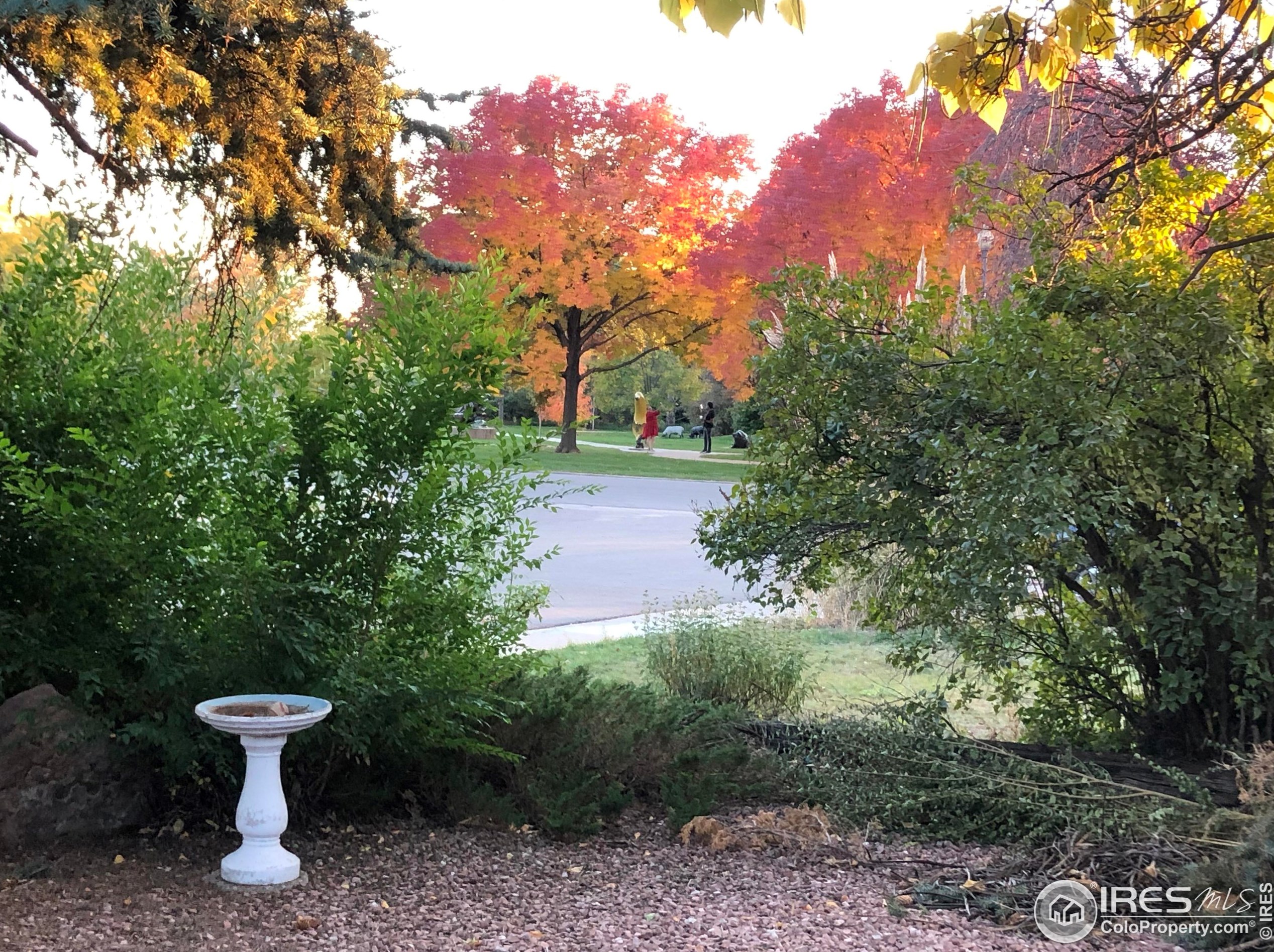 1023 32 St, Loveland CO 80538-2731 exterior