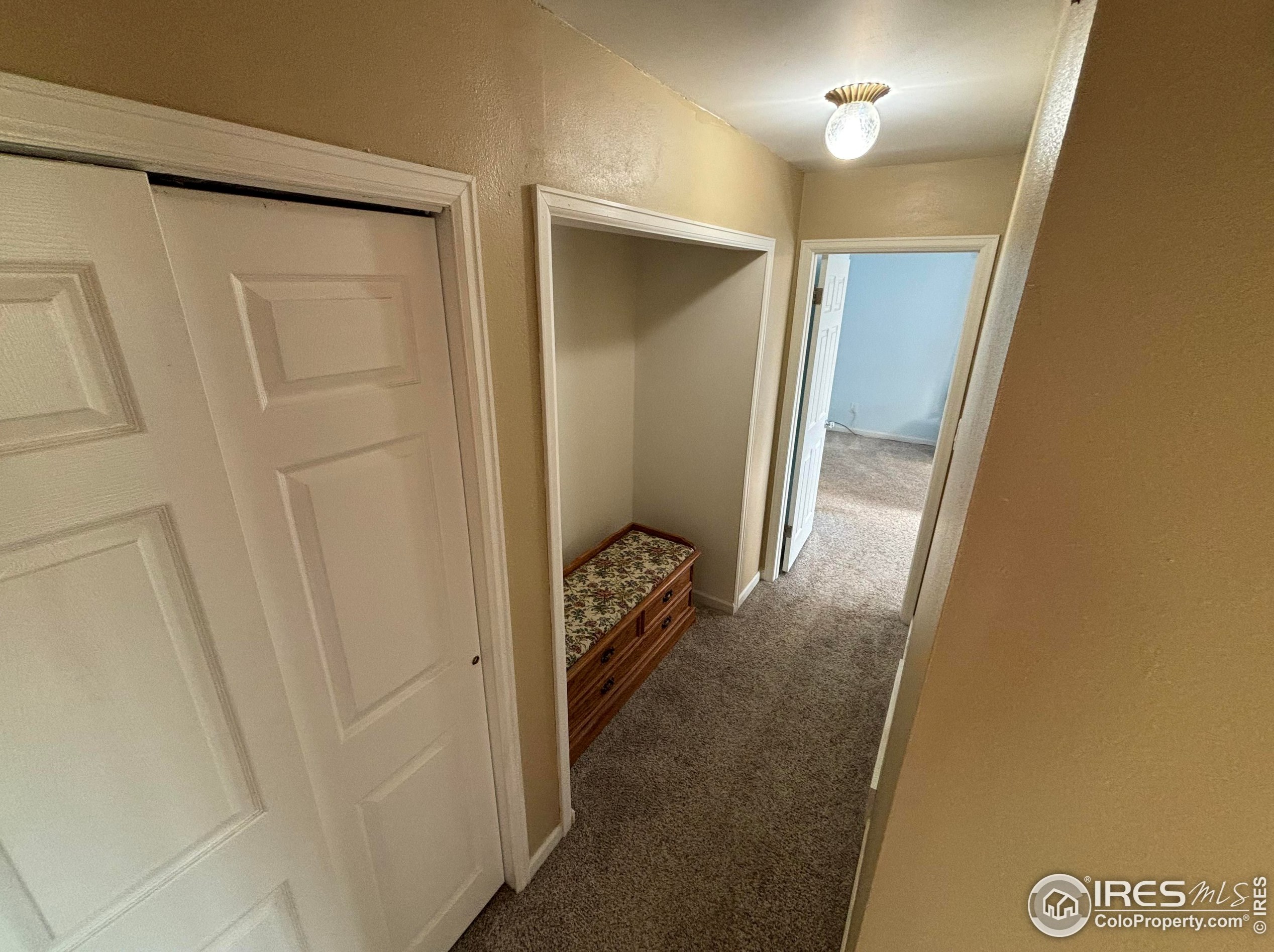 2203 Mountair Ln, Greeley CO 80634-7552 exterior