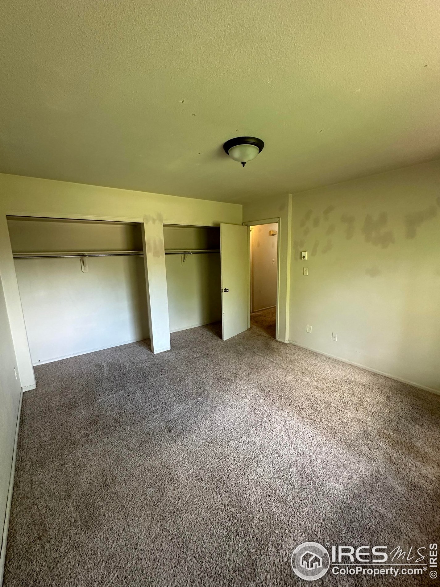 806 Pear St, Fort Collins CO  80521-3118 exterior
