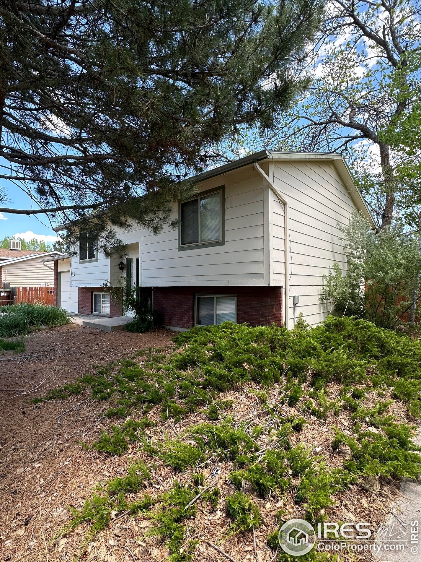 806 Pear St, Fort Collins CO  80521-3154 exterior
