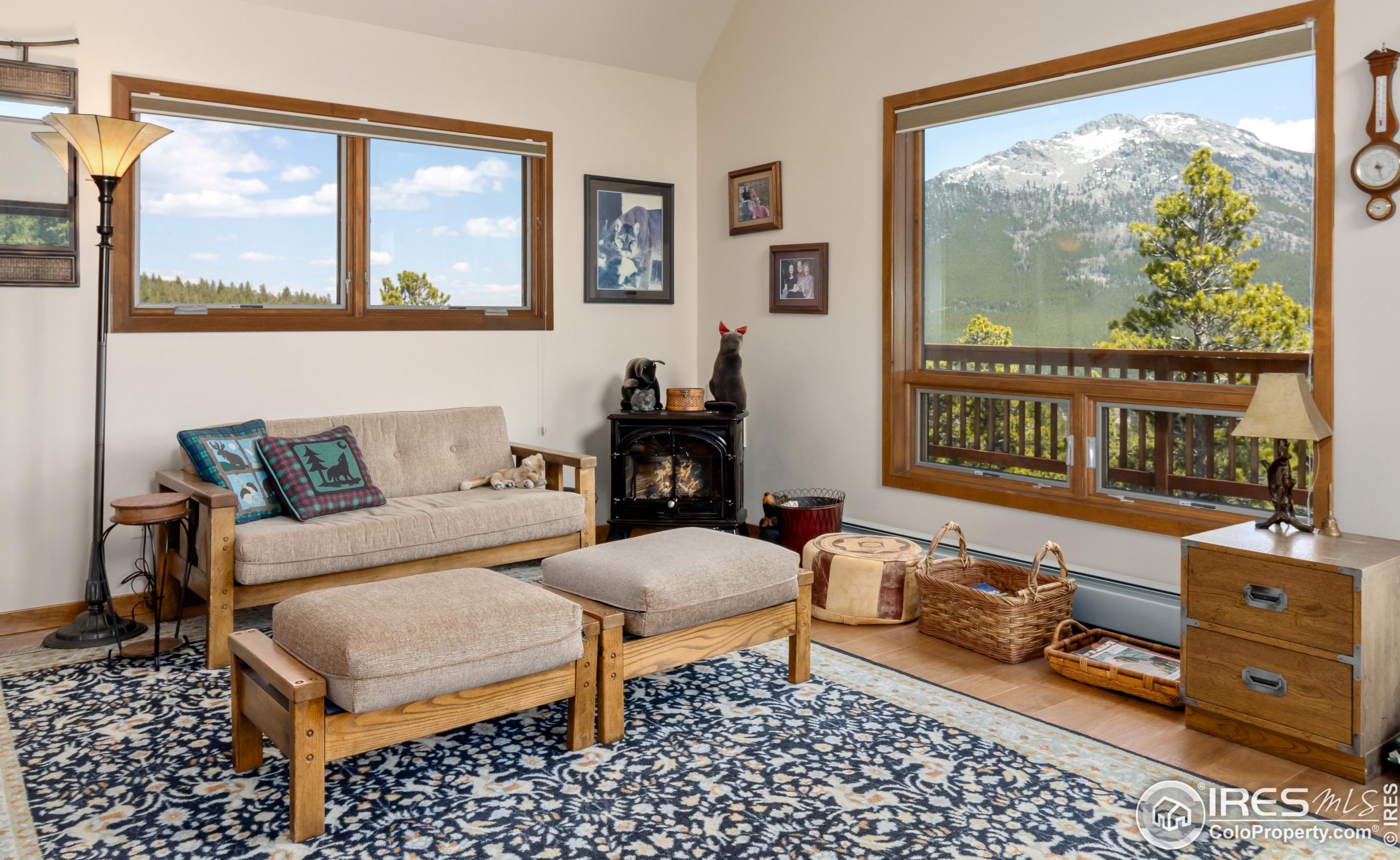 641 Goblins Castle Rd, Estes Park CO 80517-6426 exterior