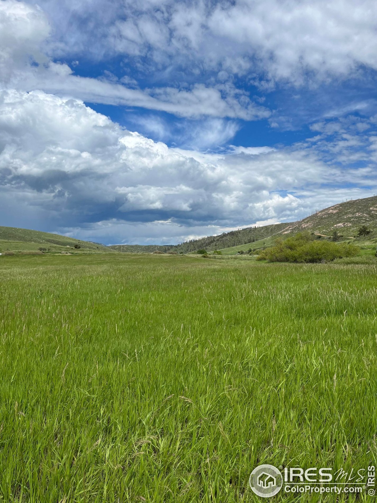 986 Deer Mdw Way, Red Feather Lakes CO 80536-9505 exterior