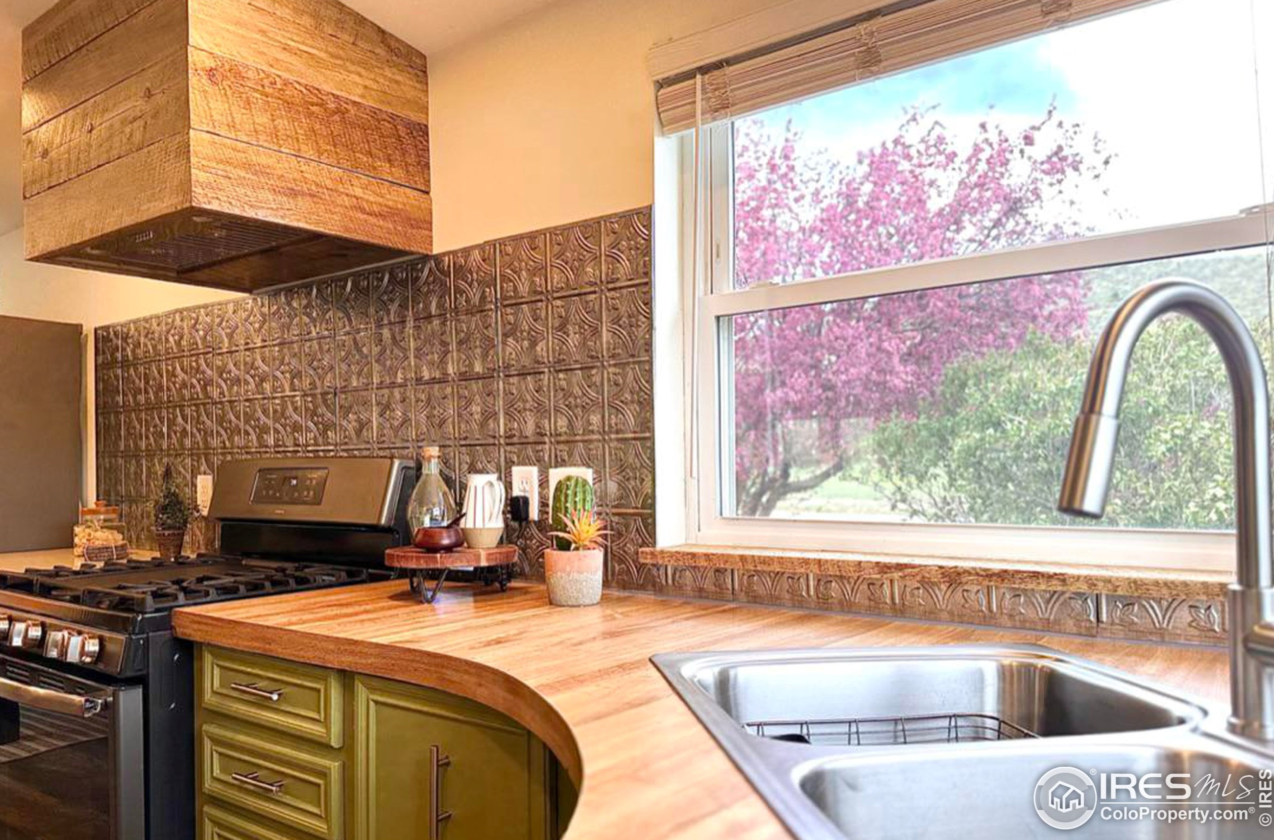 986 Deer Mdw Way, Red Feather Lakes CO 80536-9505 exterior