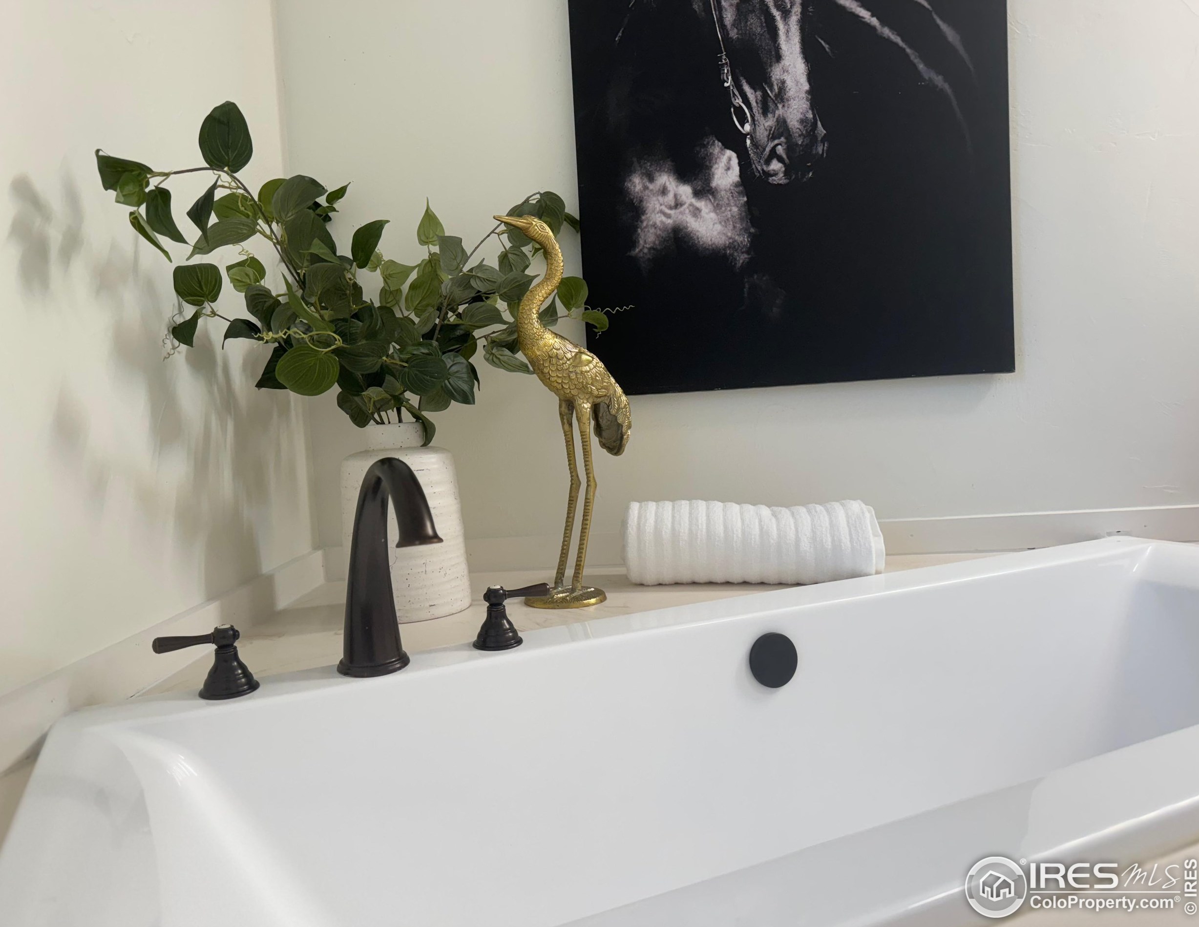 986 Deer Mdw Way, Red Feather Lakes CO 80536-9505 exterior