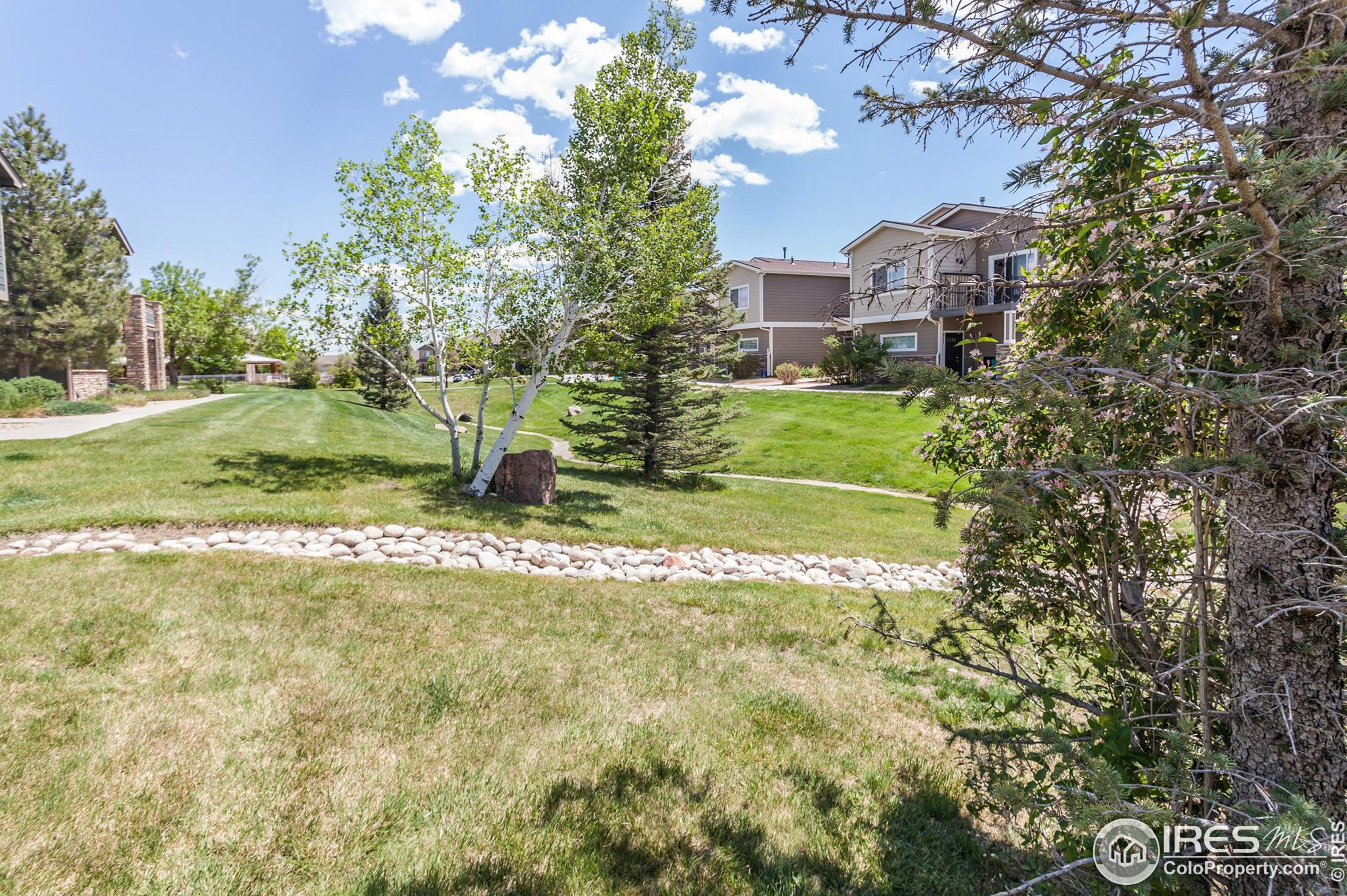 4101 Crittenton Ln, Wellington CO  80549-3400 exterior