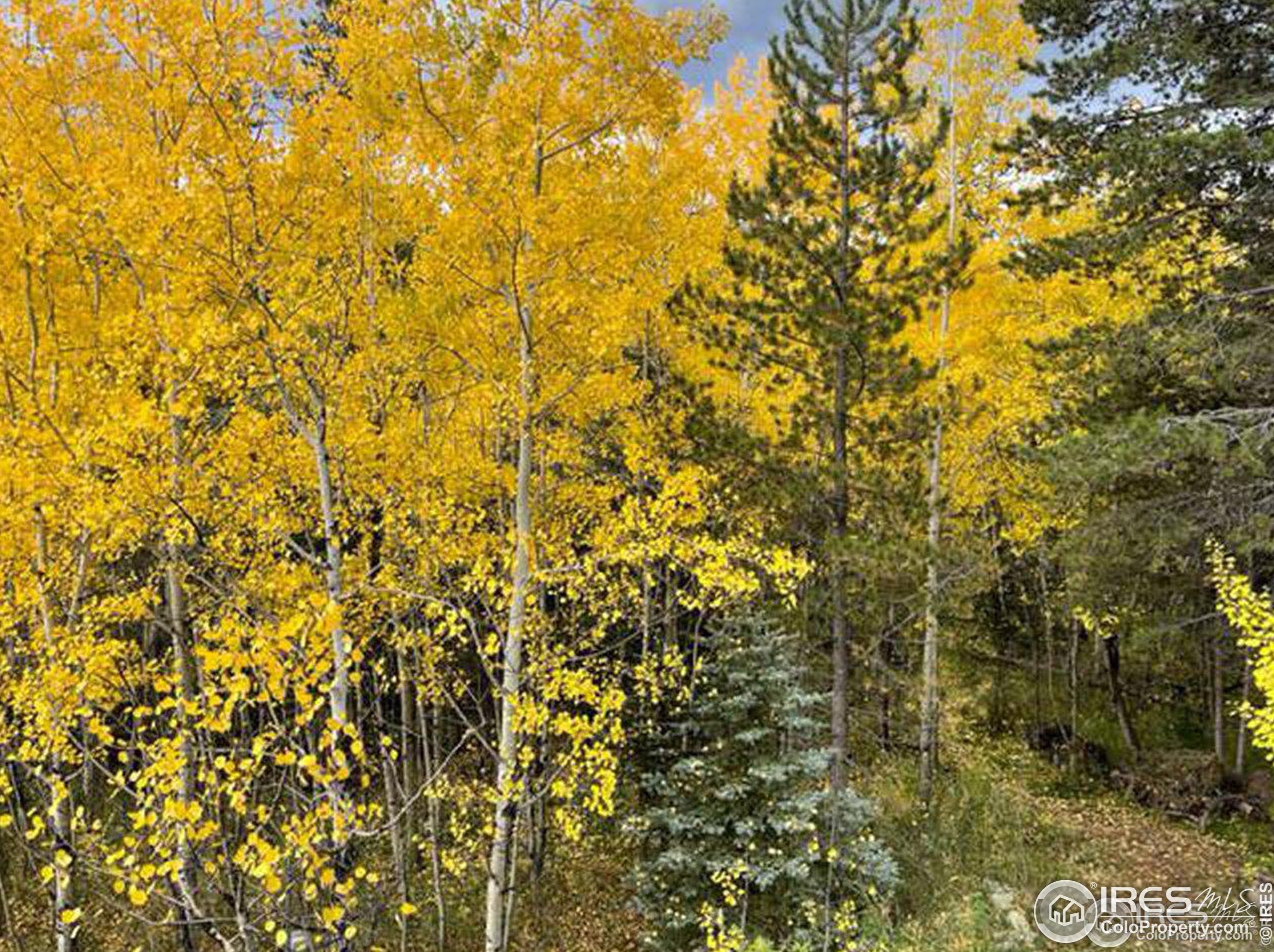 146 Hummer Dr, Nederland CO 80466-9562 exterior