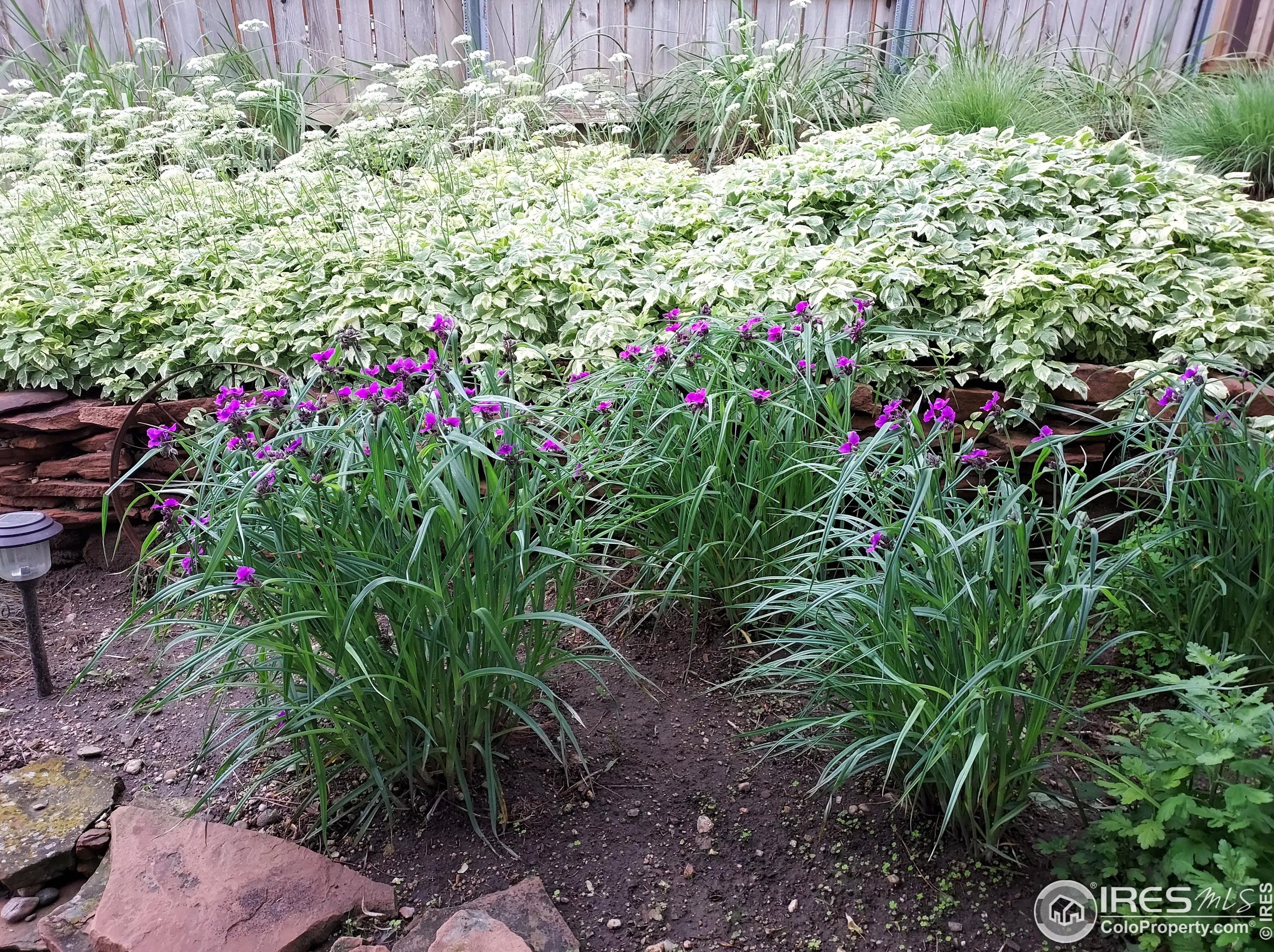 2158 27 Ave, Greeley CO 80634-6623 exterior