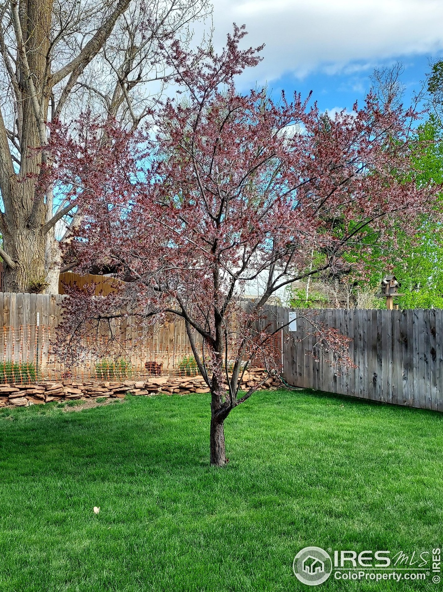 2158 27 Ave, Greeley CO 80634-6623 exterior