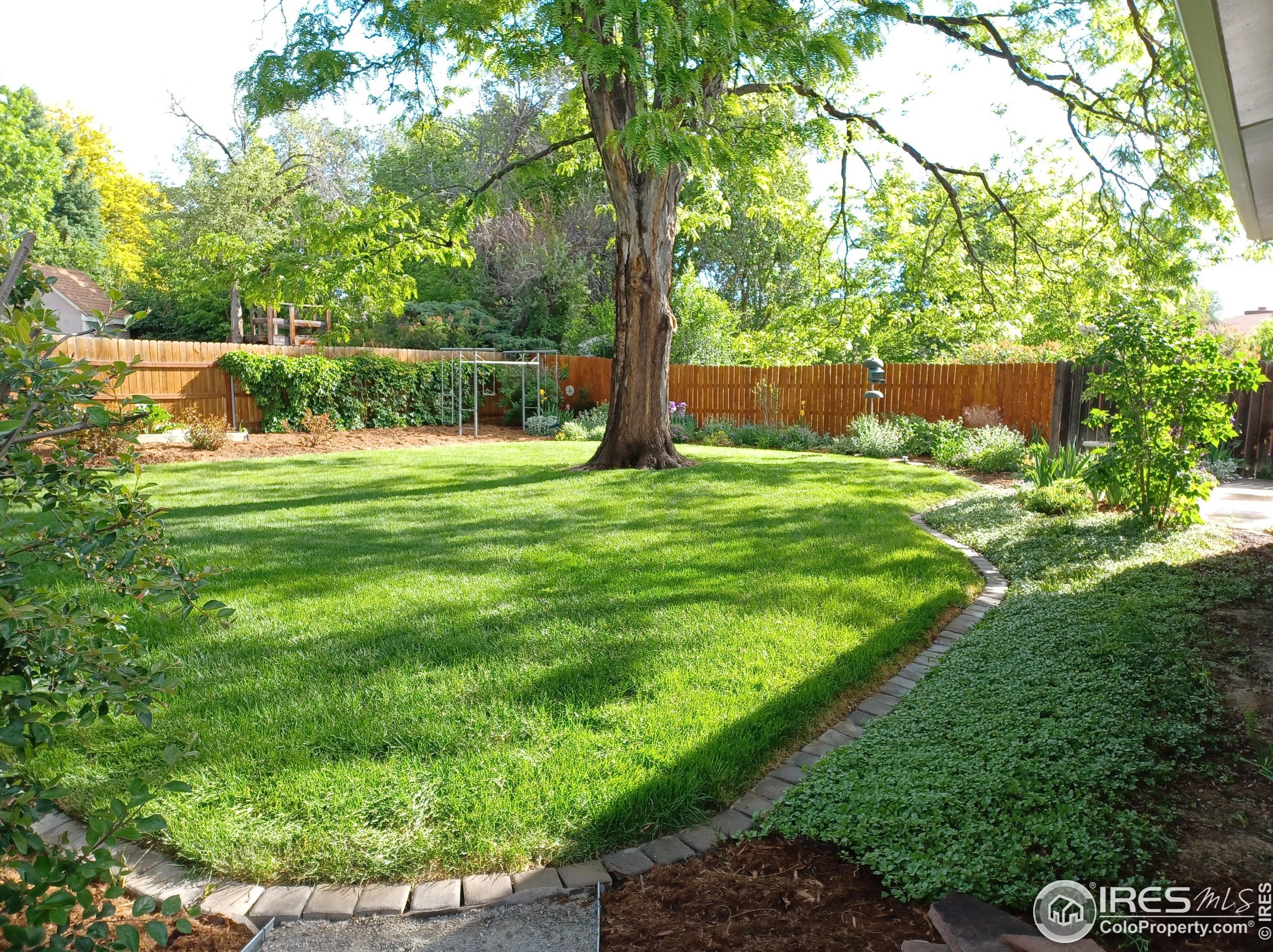 1065 Coffman St, Longmont CO  80501-4340 exterior