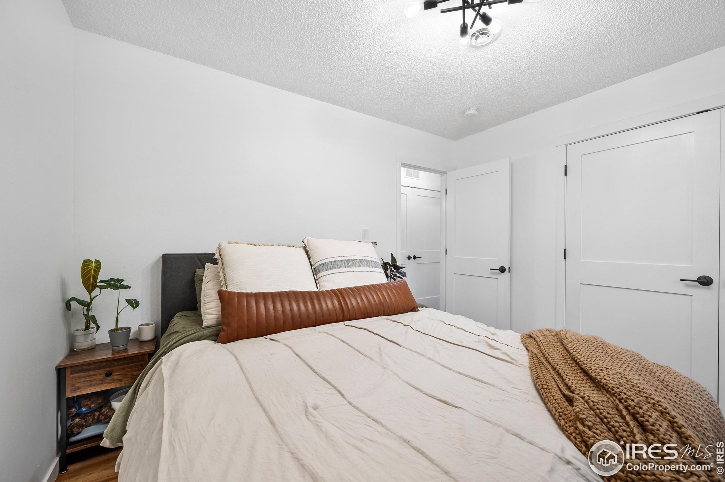 2806 Woodford Ave, Fort Collins CO  80521-2441 exterior