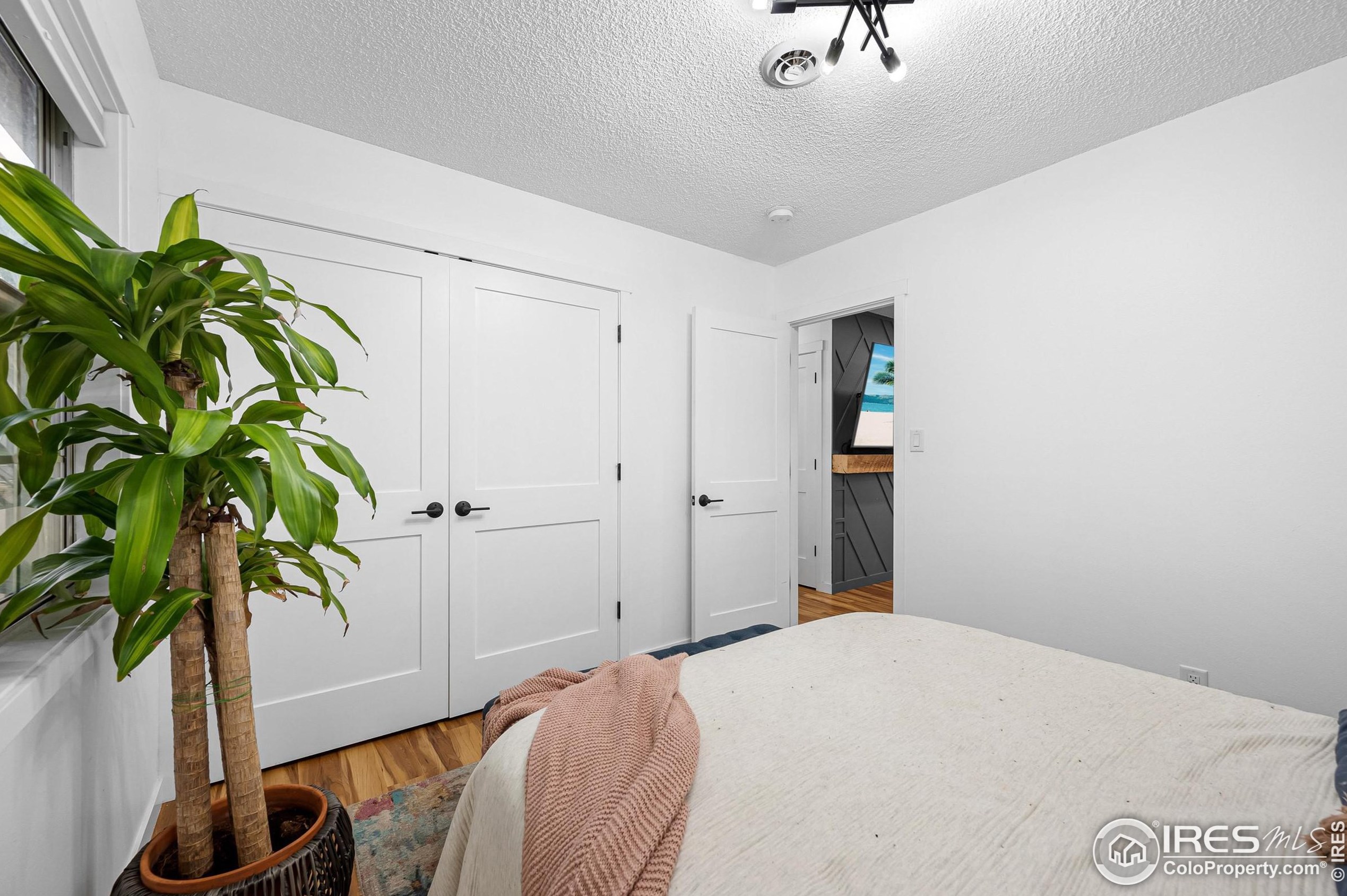 2806 Woodford Ave, Fort Collins CO  80521-2441 exterior