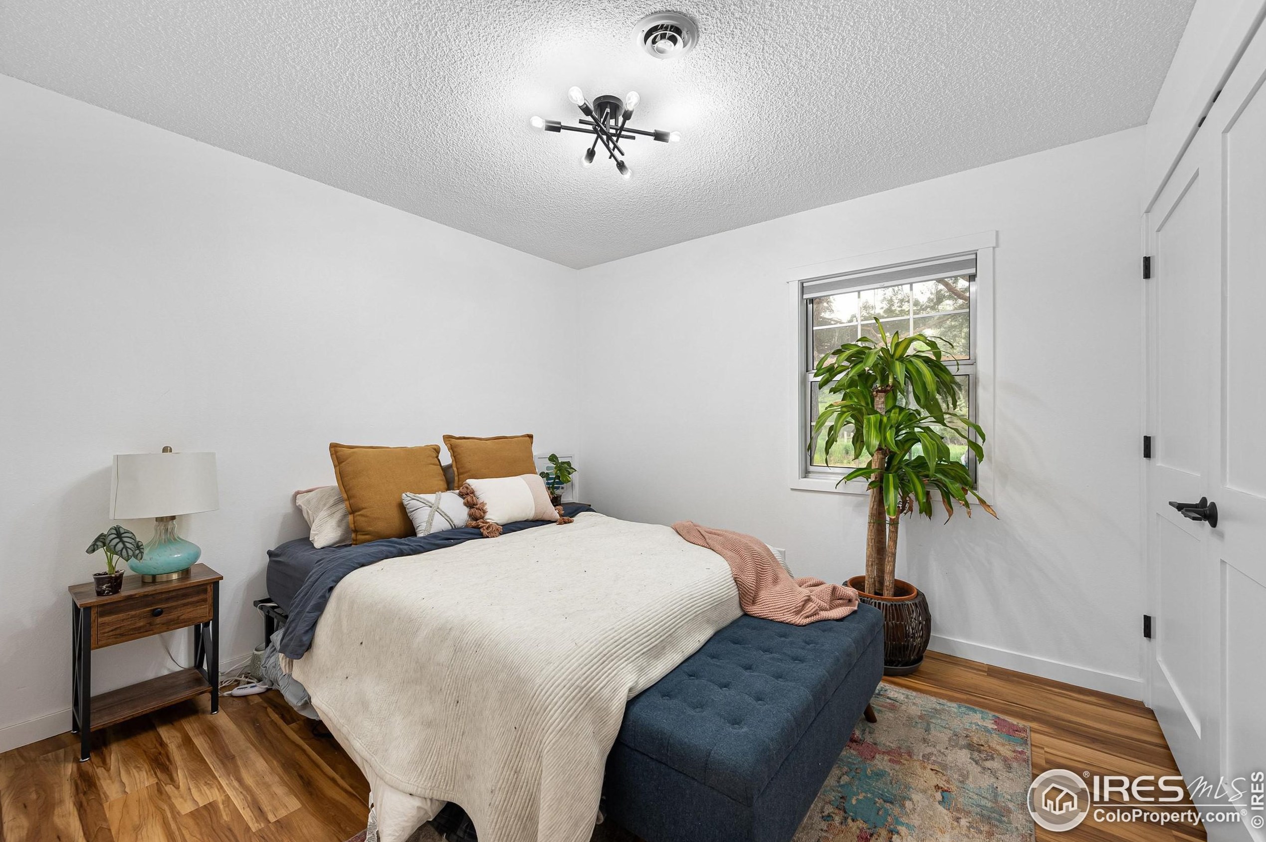 2806 Woodford Ave, Fort Collins CO  80521-2441 exterior