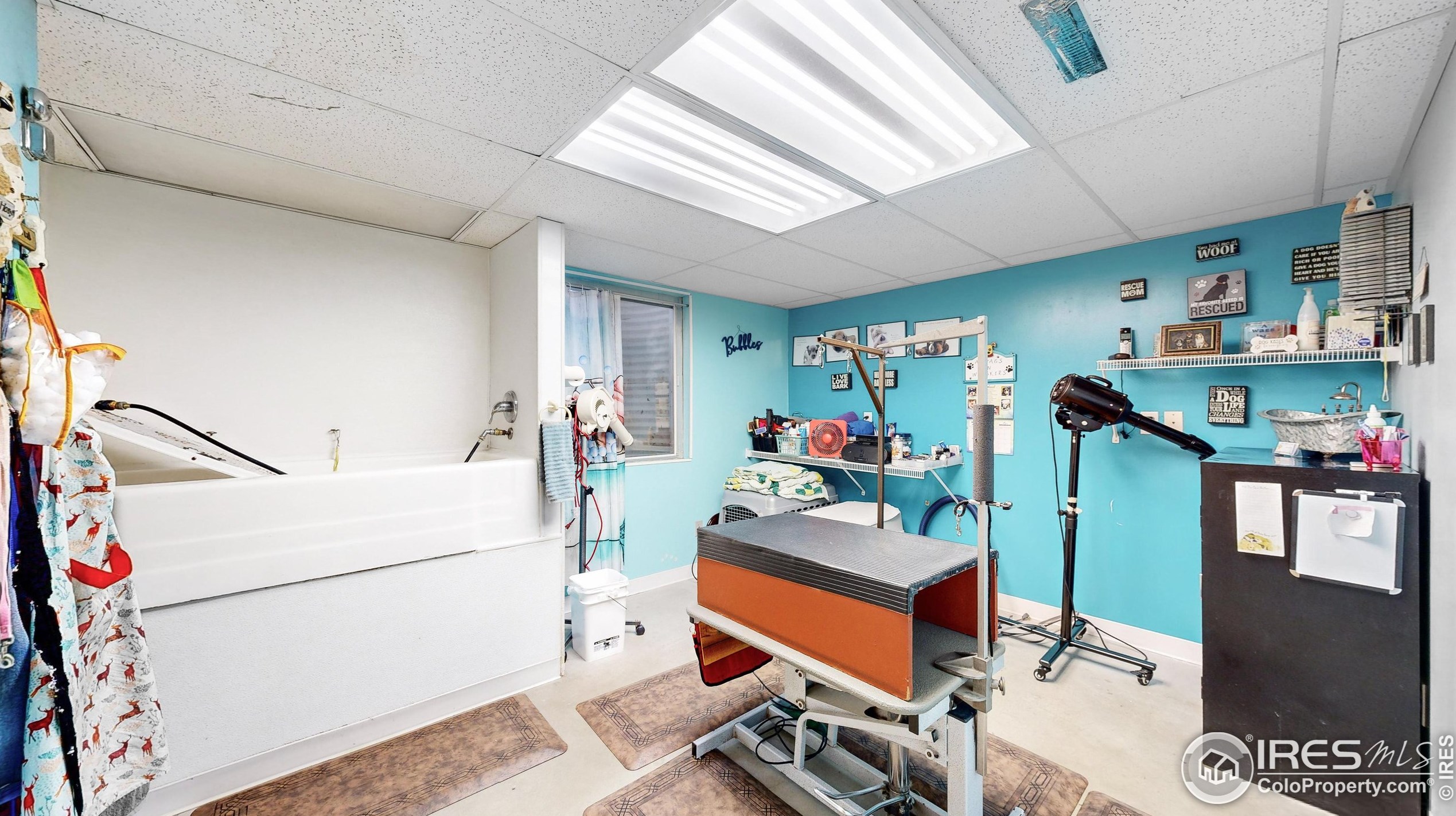 301 44th Avenue Ct, Greeley CO 80634-1091 exterior