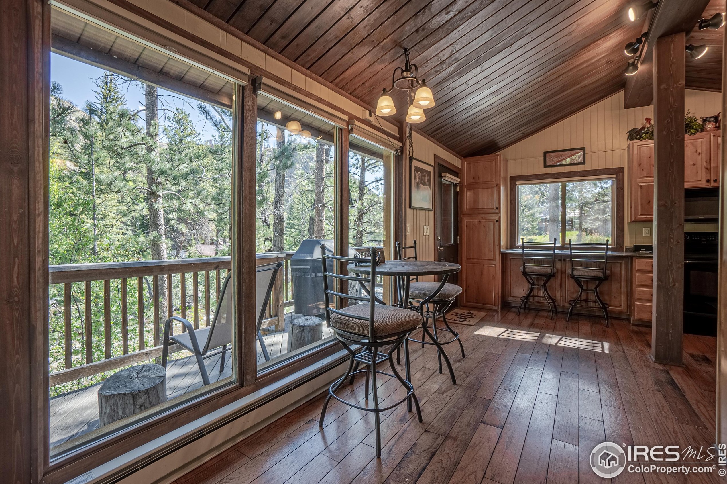 348 Crown Pt Dr, Bellvue CO 80512-9411 exterior