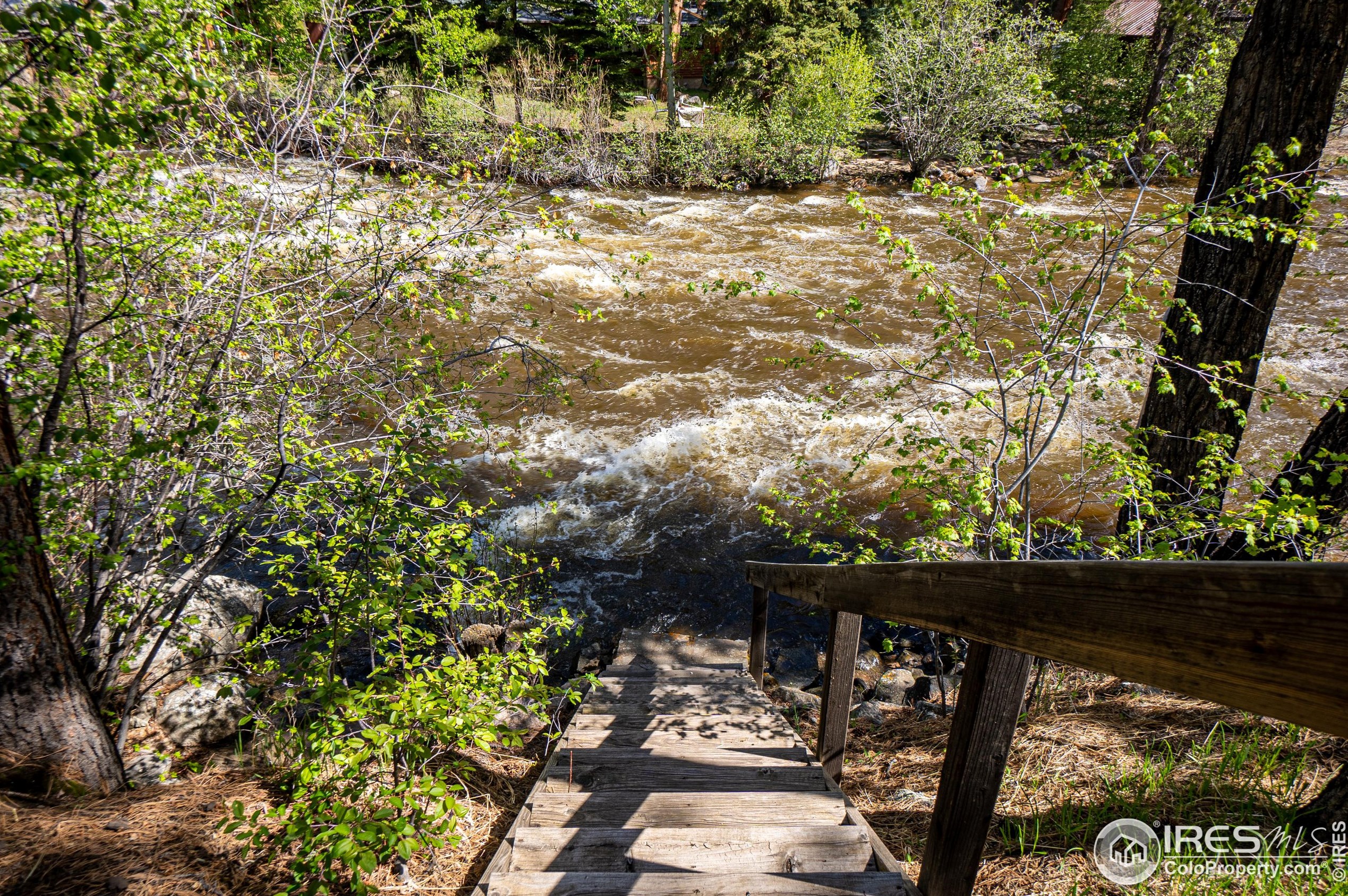 348 Crown Pt Dr, Bellvue CO 80512-9411 exterior