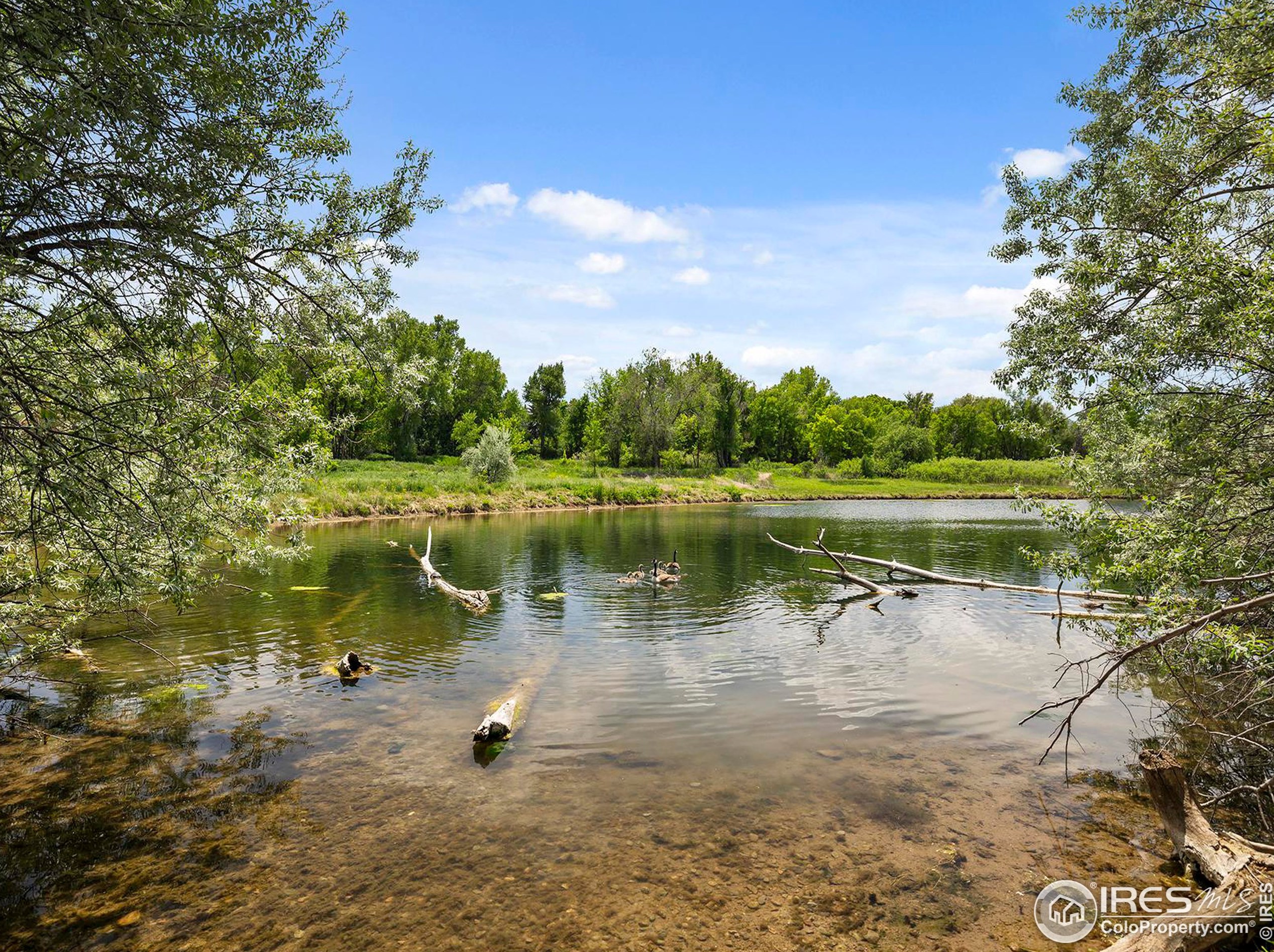 1705 Heatheridge Rd, Fort Collins CO  80526-1743 exterior