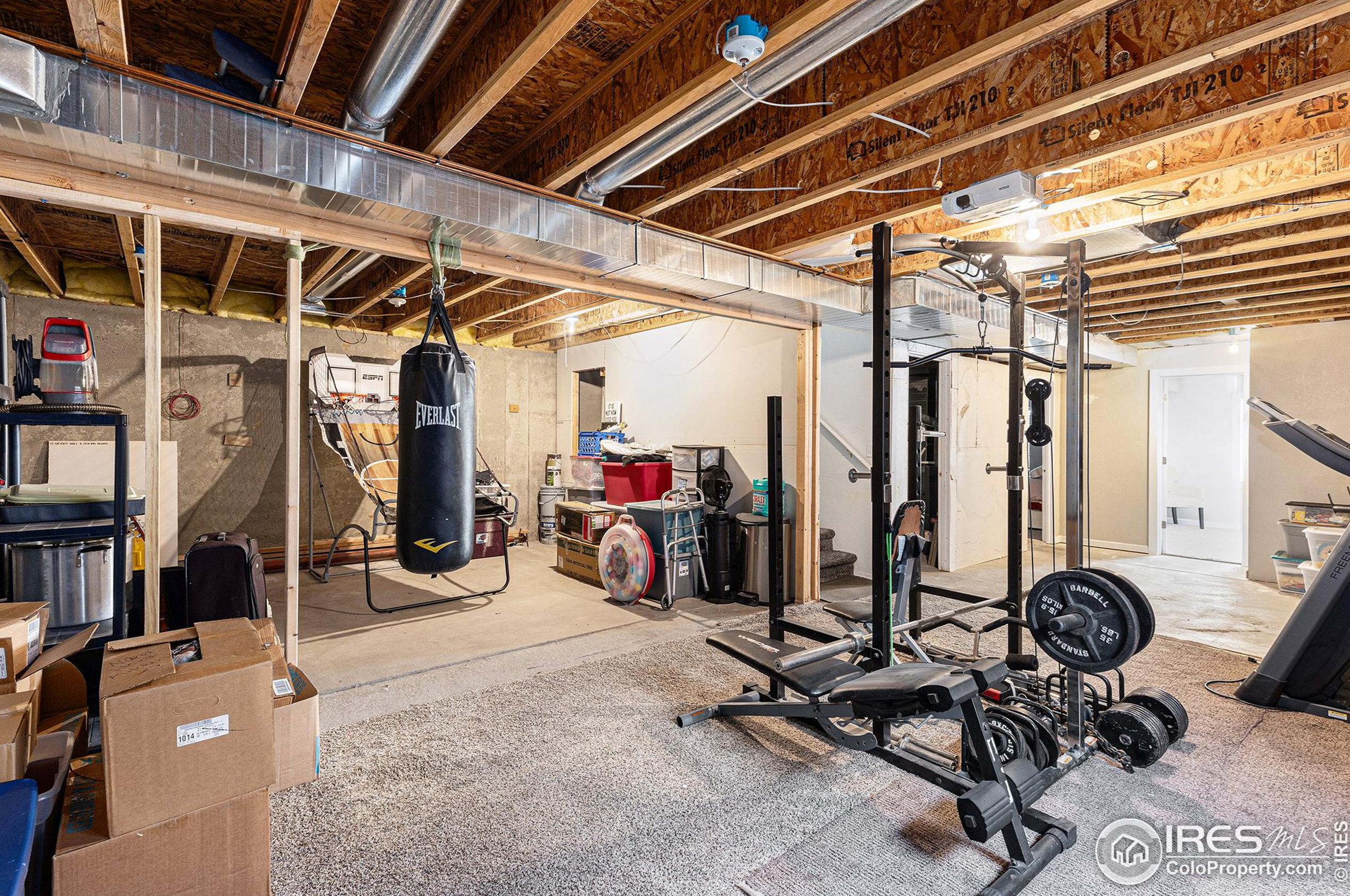 3009 46th Ave, Greeley CO 80634-5004 exterior