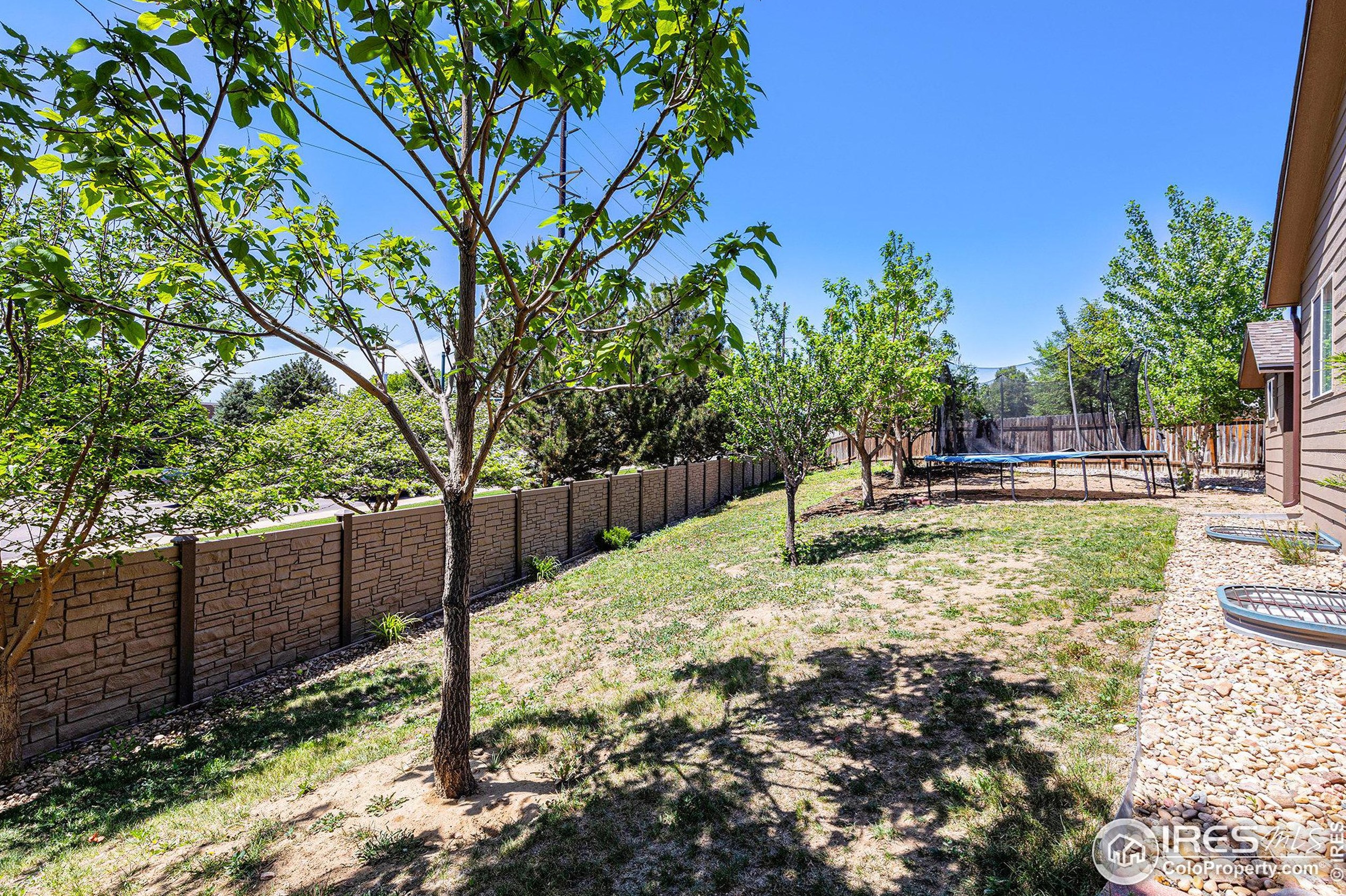 3009 46th Ave, Greeley CO 80634-5004 exterior