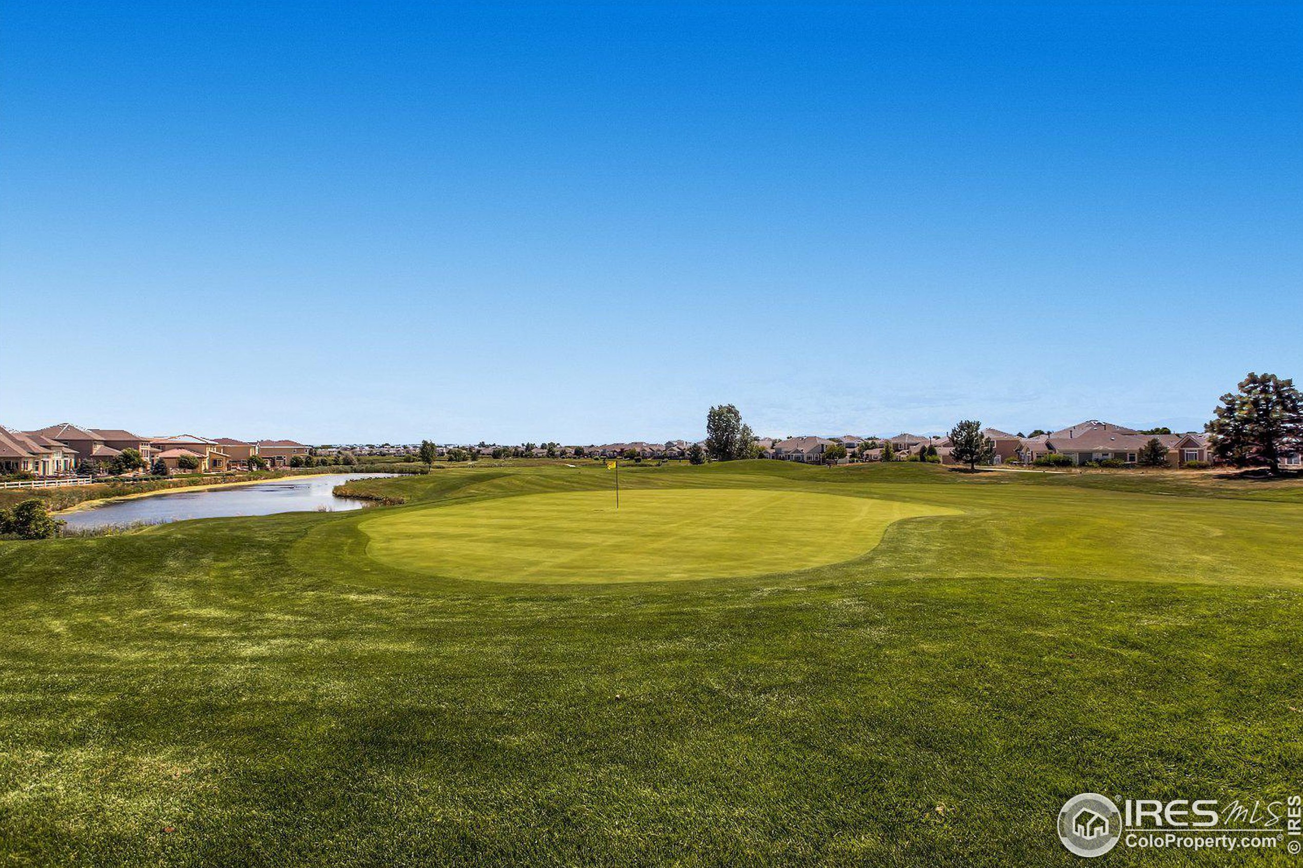 14185 Whitney Cir, Westminster CO 80023-4508 exterior