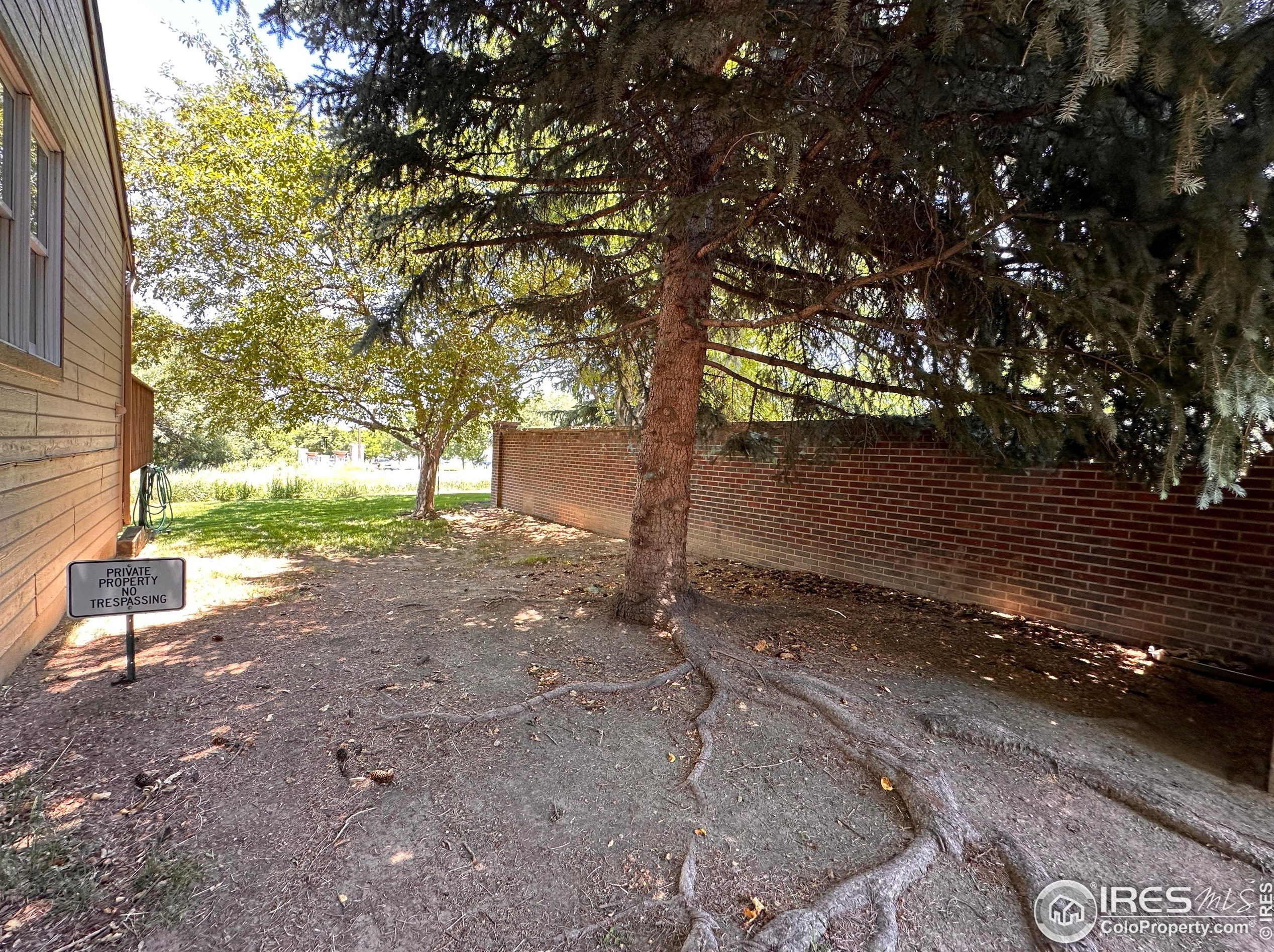 1100 Evenstar Ct, Fort Collins CO  80526-1858 exterior