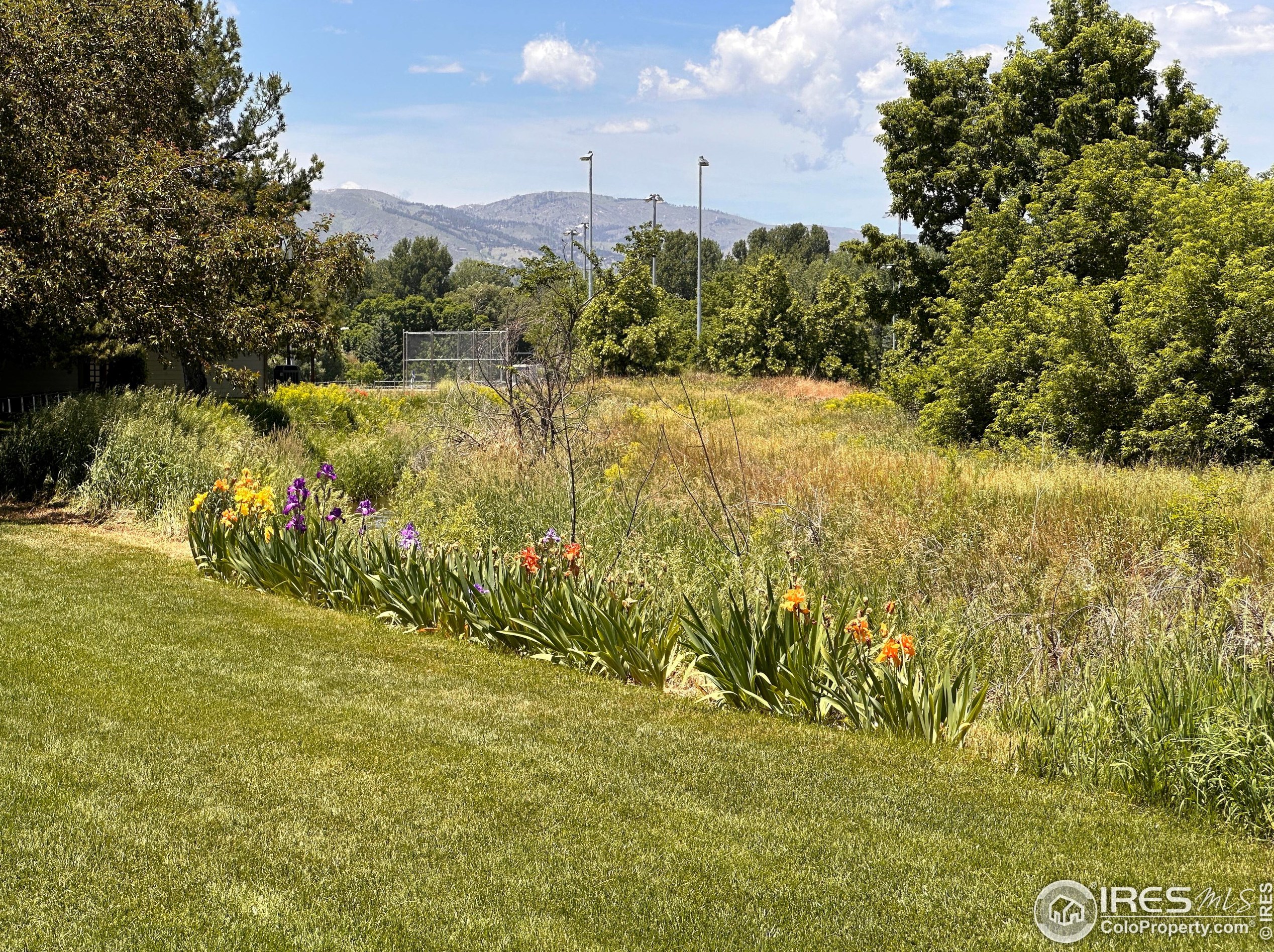 1100 Evenstar Ct, Fort Collins CO  80526-1858 exterior