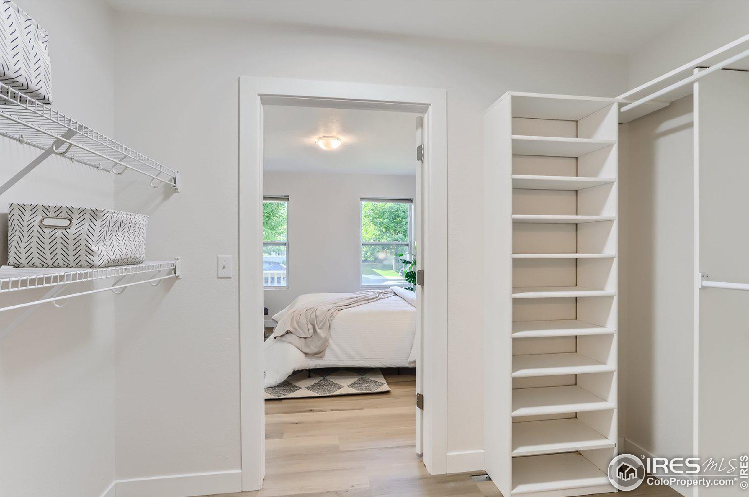 1416 Bluemoon Dr, Longmont CO 80504-1770 exterior