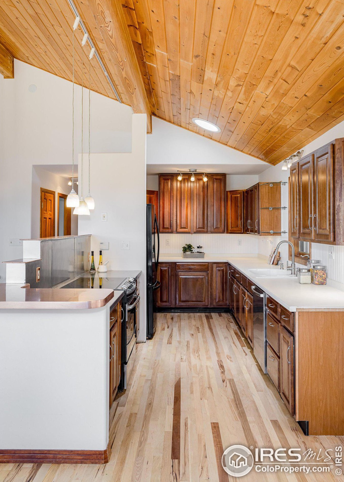 64 Doe Trl, Nederland CO exterior