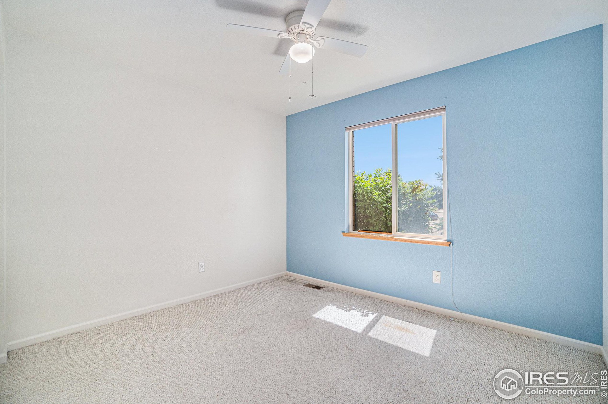 3101 50 Ave Ct, Greeley CO 80634-8772 exterior