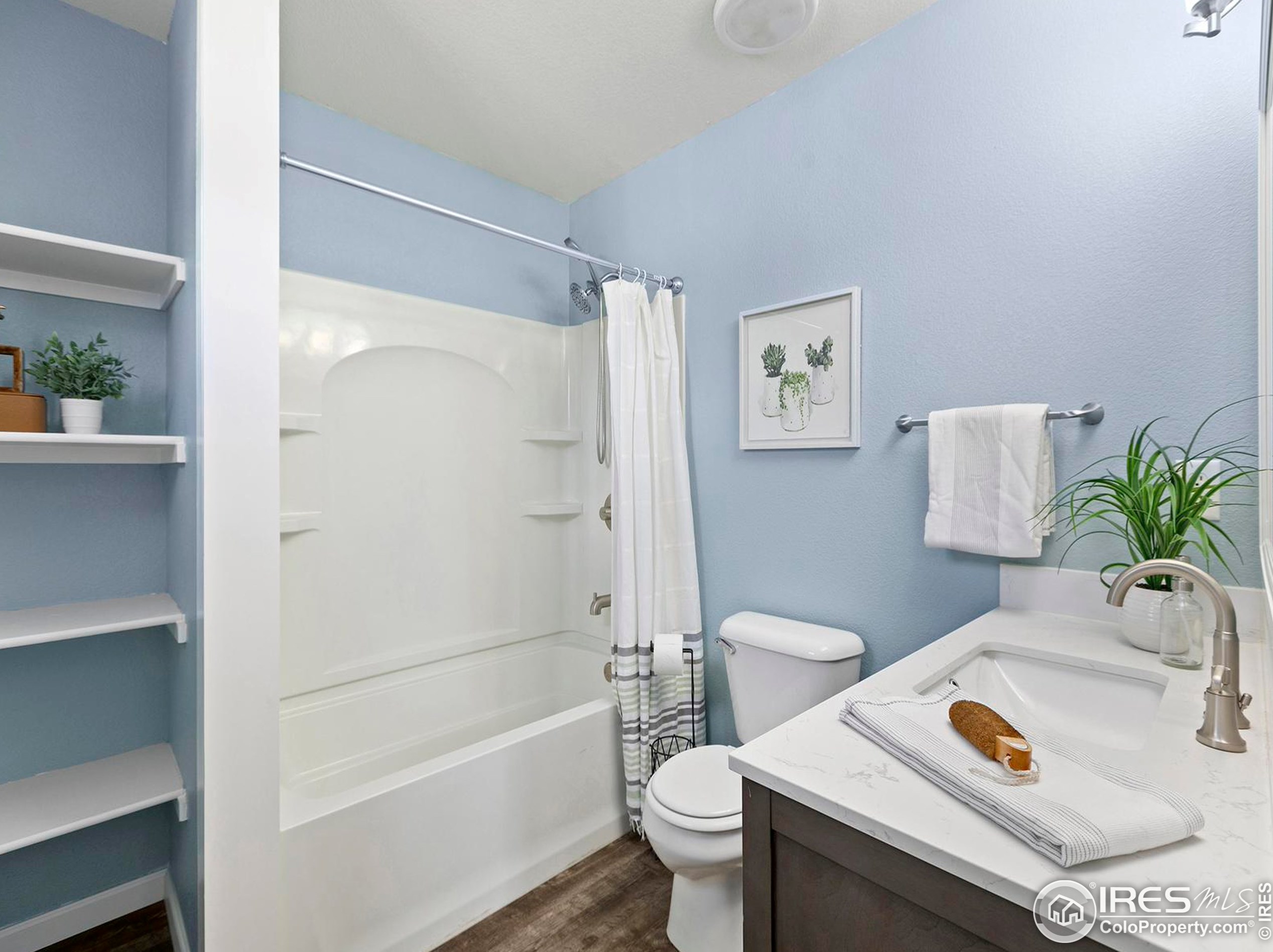 3604 Mt Ouray St, Wellington CO 80549-2216 exterior