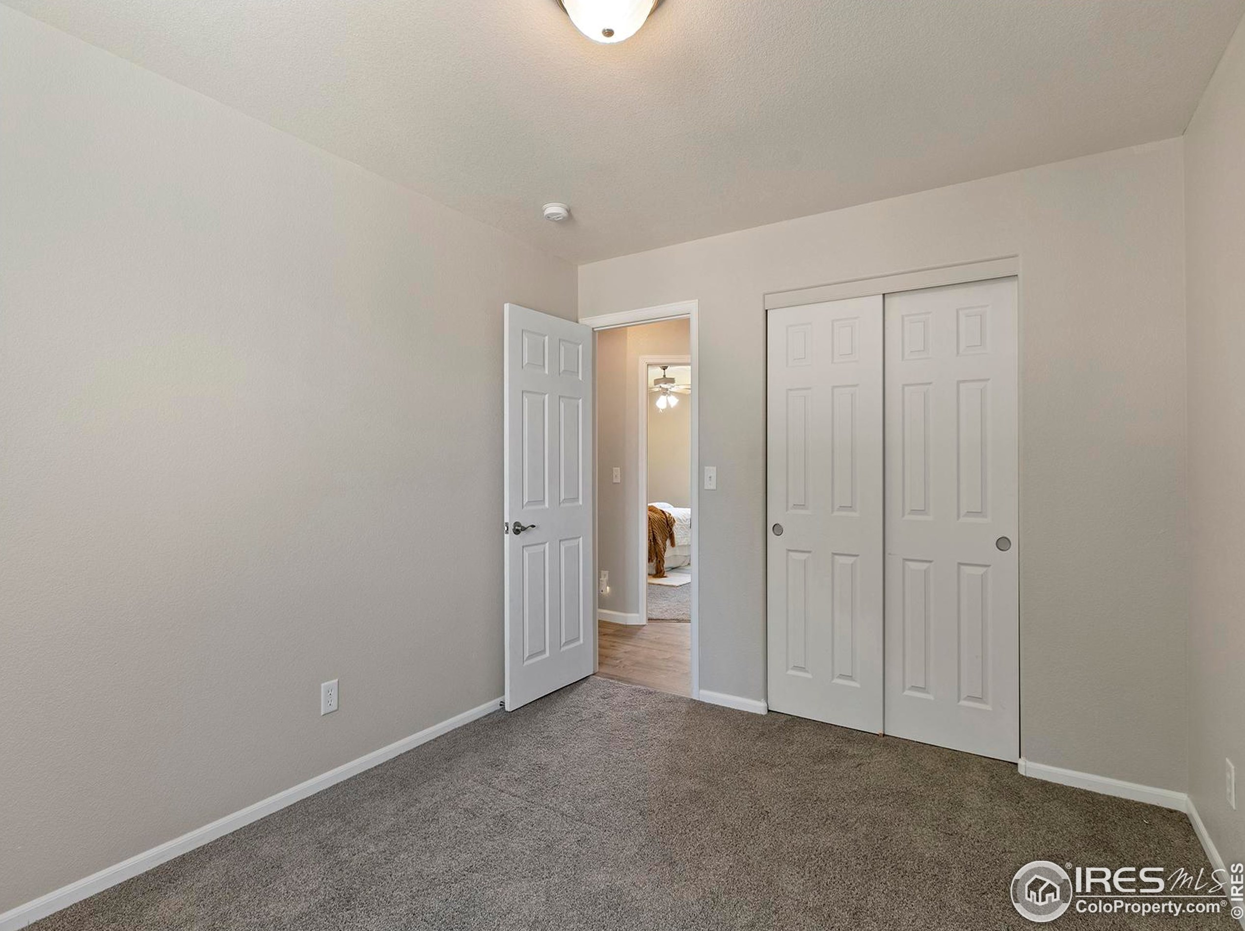 3604 Mt Ouray St, Wellington CO 80549-2216 exterior