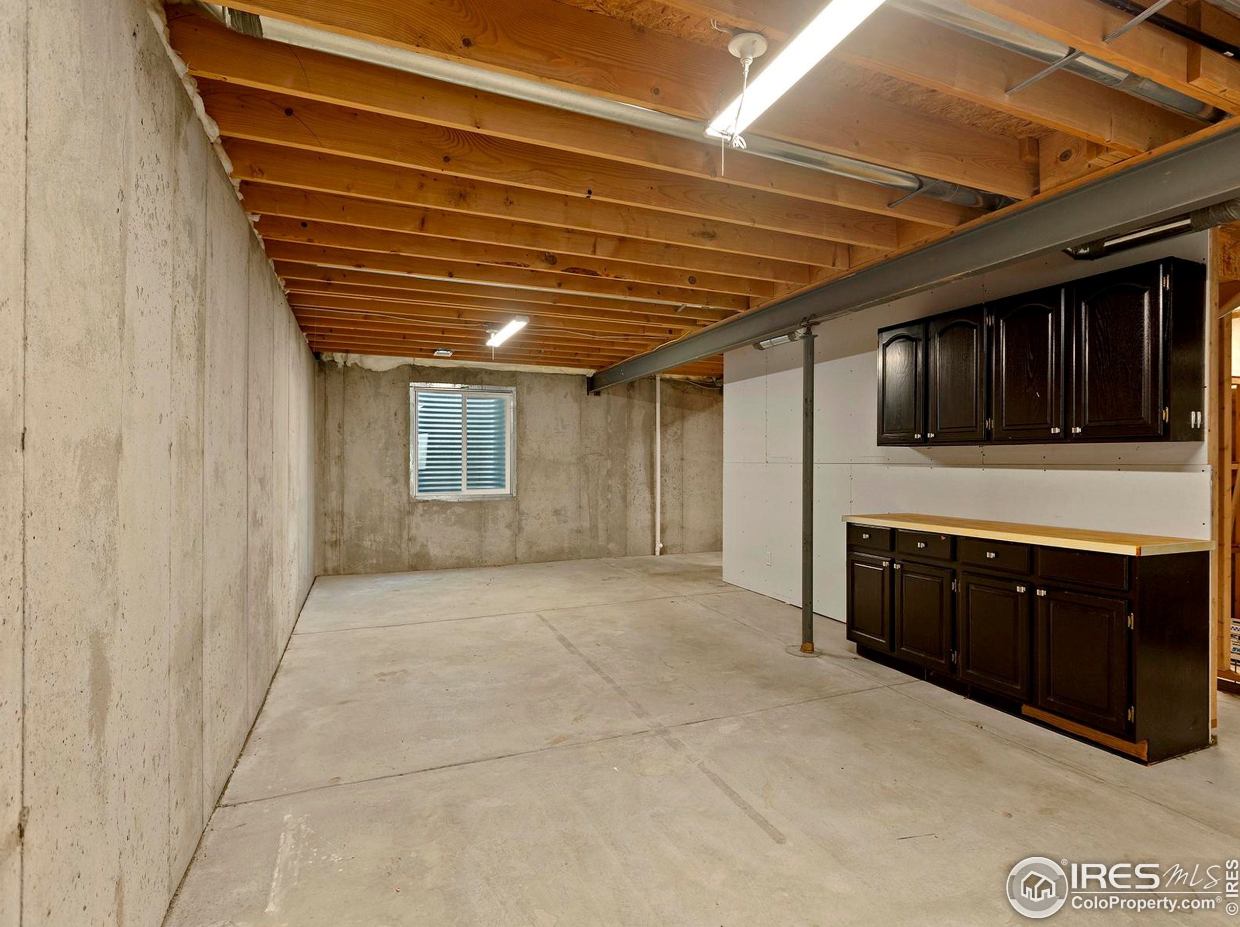 3604 Mt Ouray St, Wellington CO 80549-2216 exterior